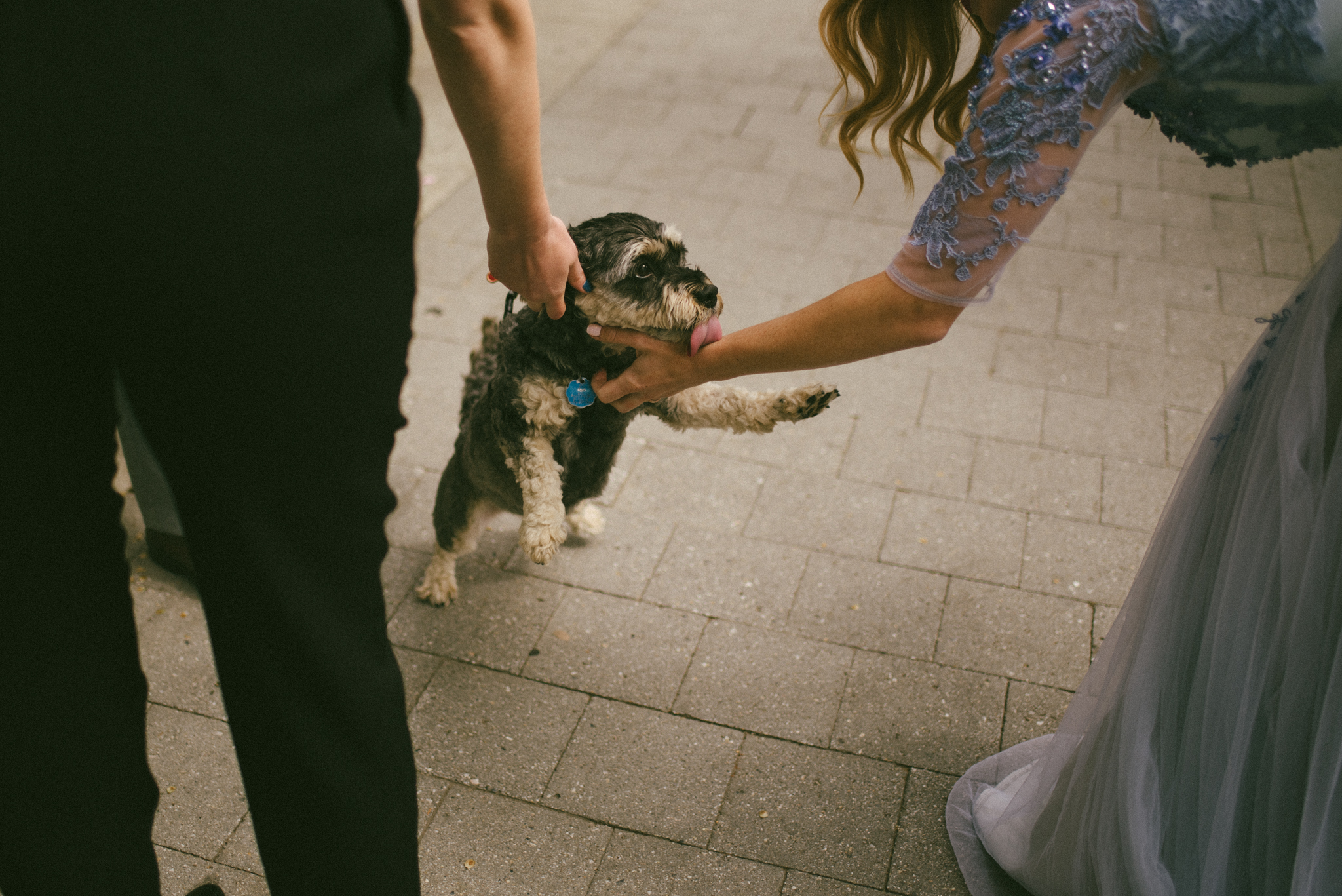 Pizzeria Defina Toronto Wedding