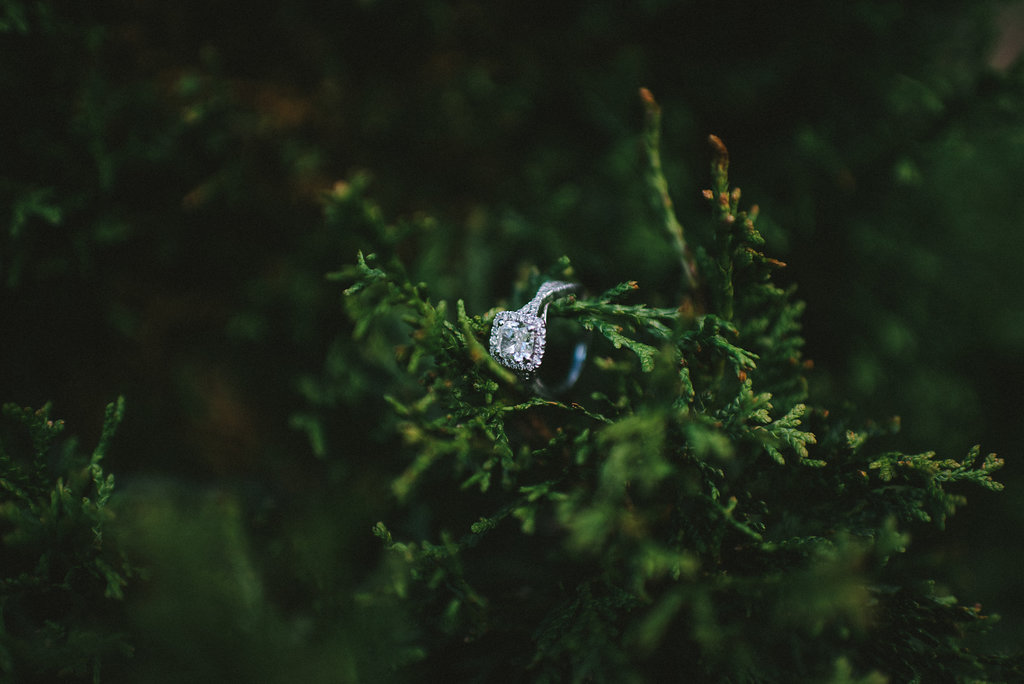 Cabin On The 9 Orangeville Engagement Photographer