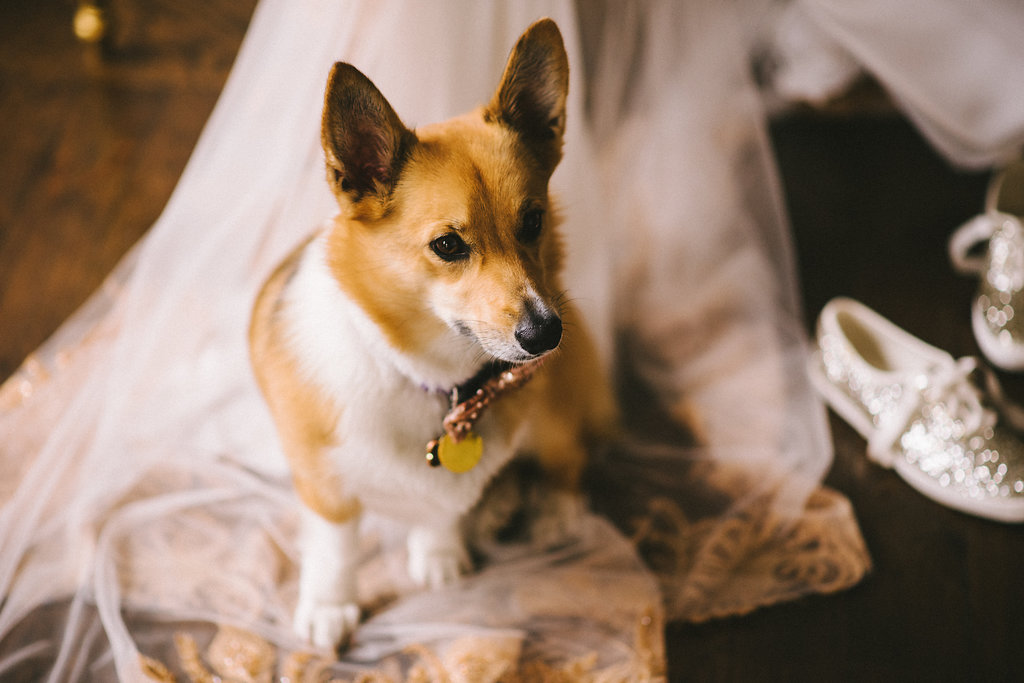 The Great Hall Urban Toronto Wedding Photographer