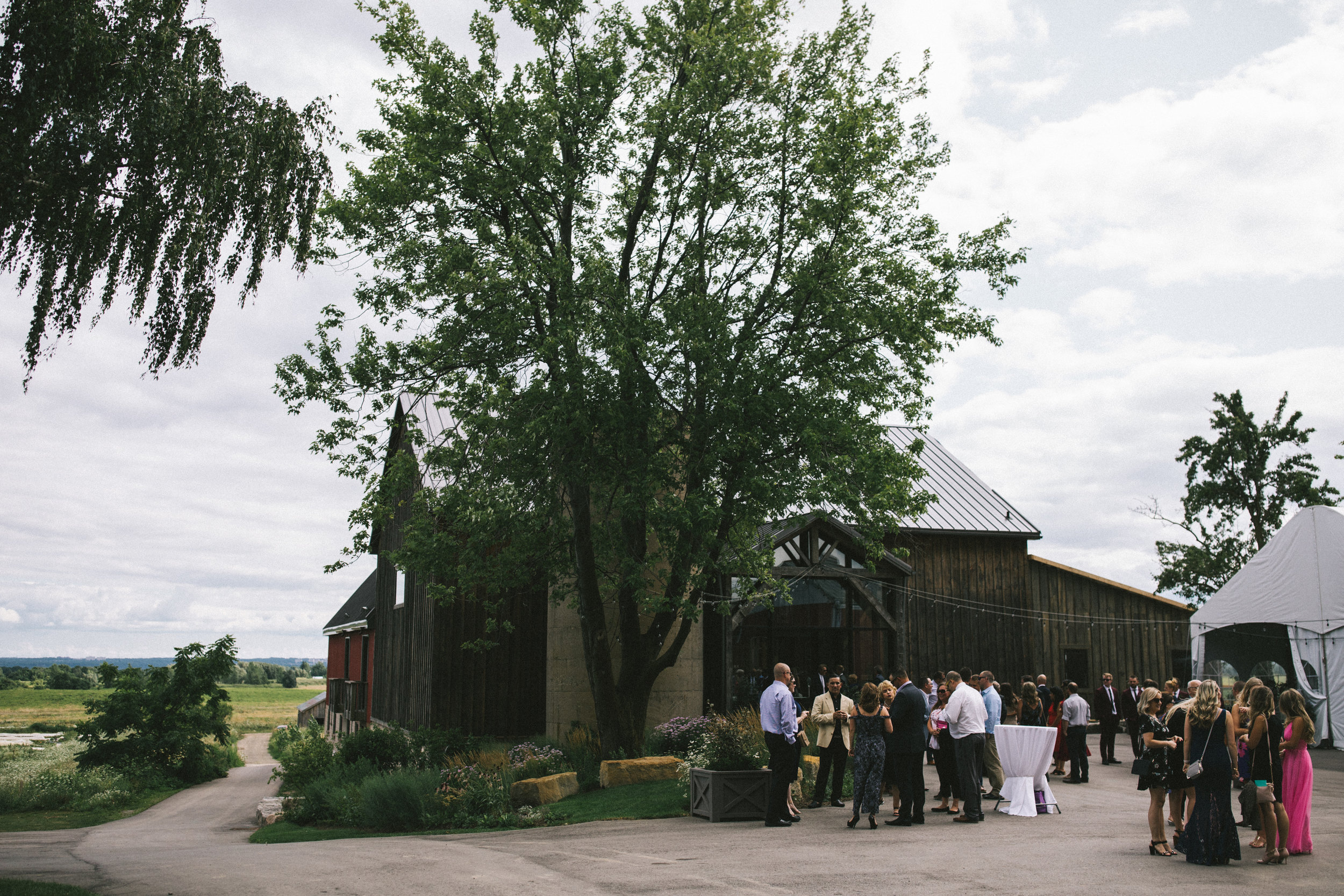 Earth To Table Farm Hamilton Wedding Photographer