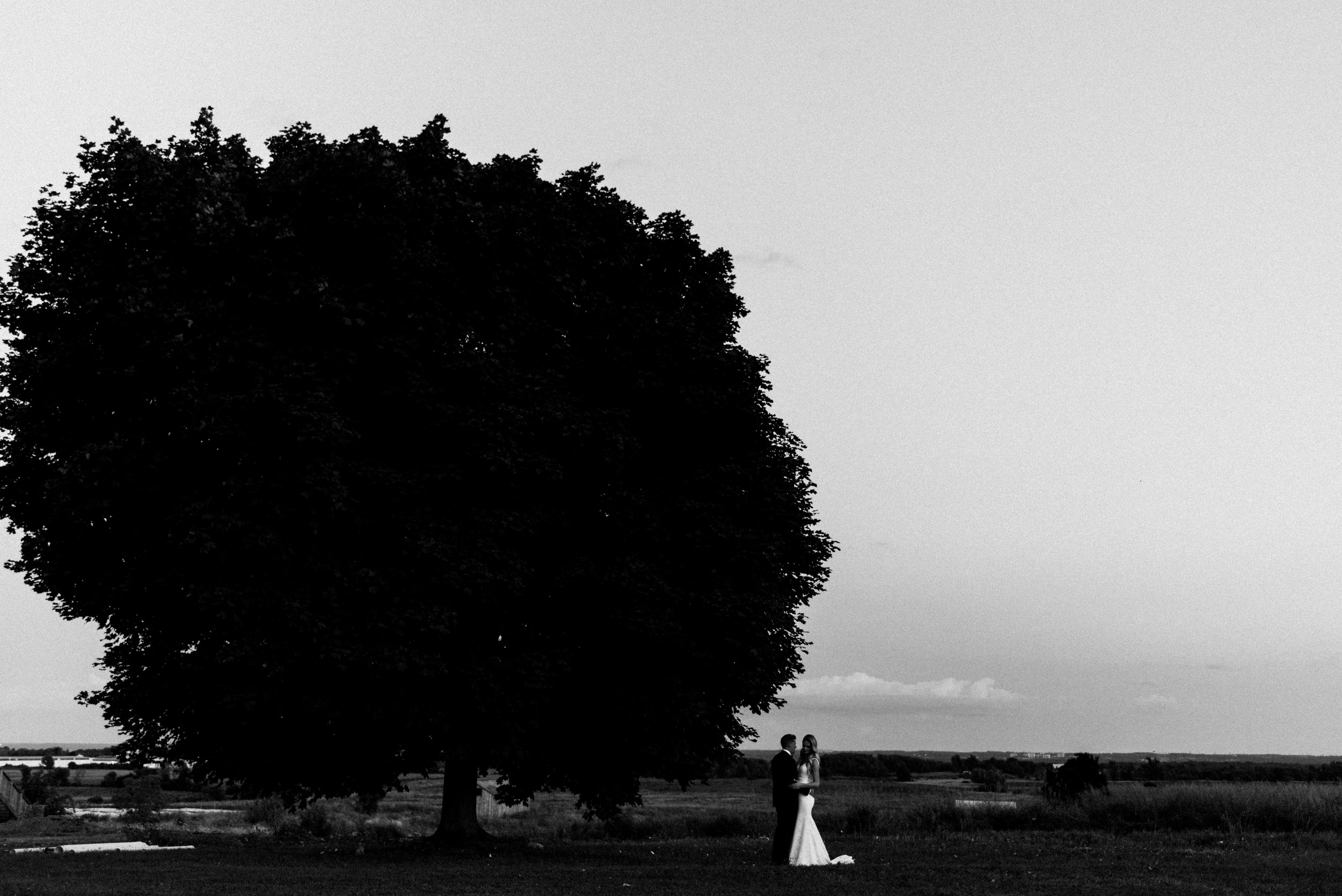 Earth To Table Farm Hamilton Wedding Photographer