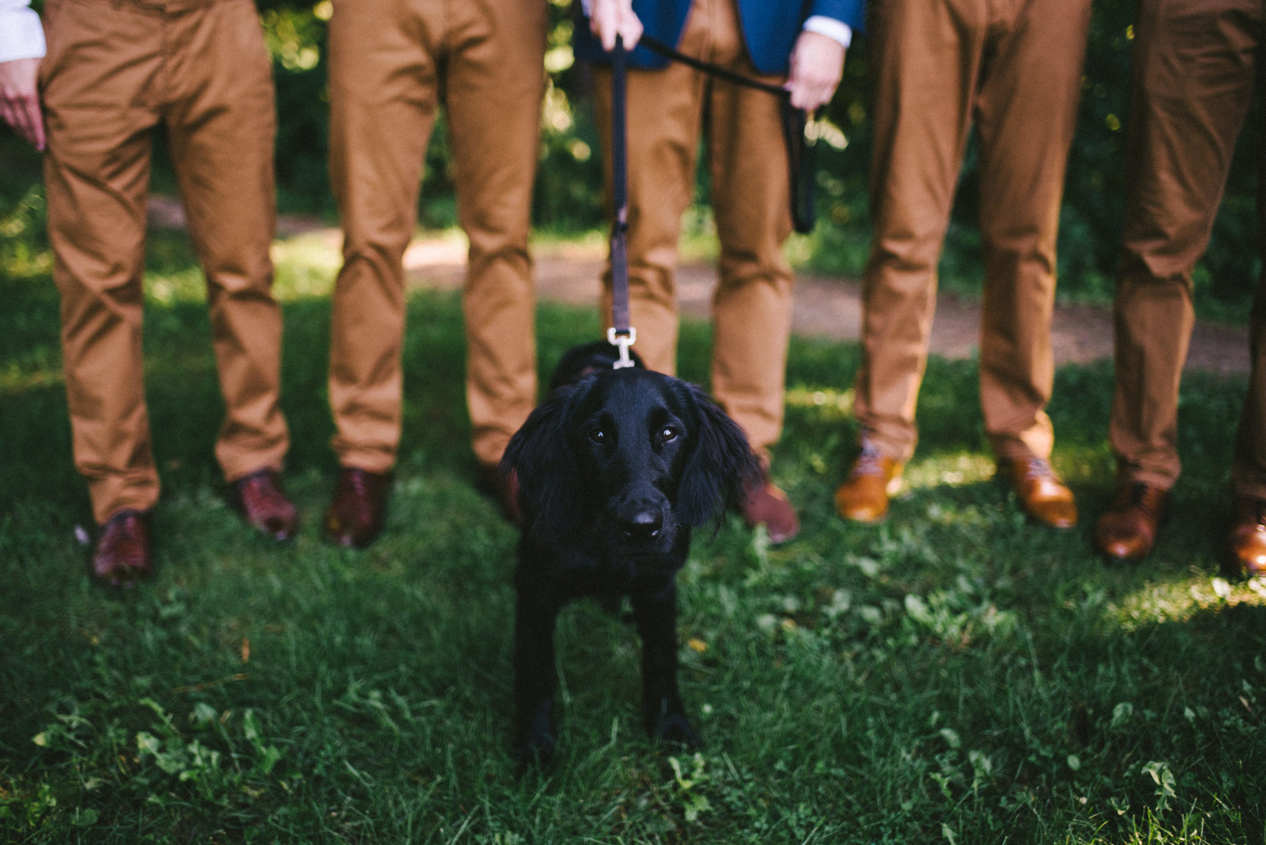 Camp Tapawingo Parry Sound Wedding Photographer