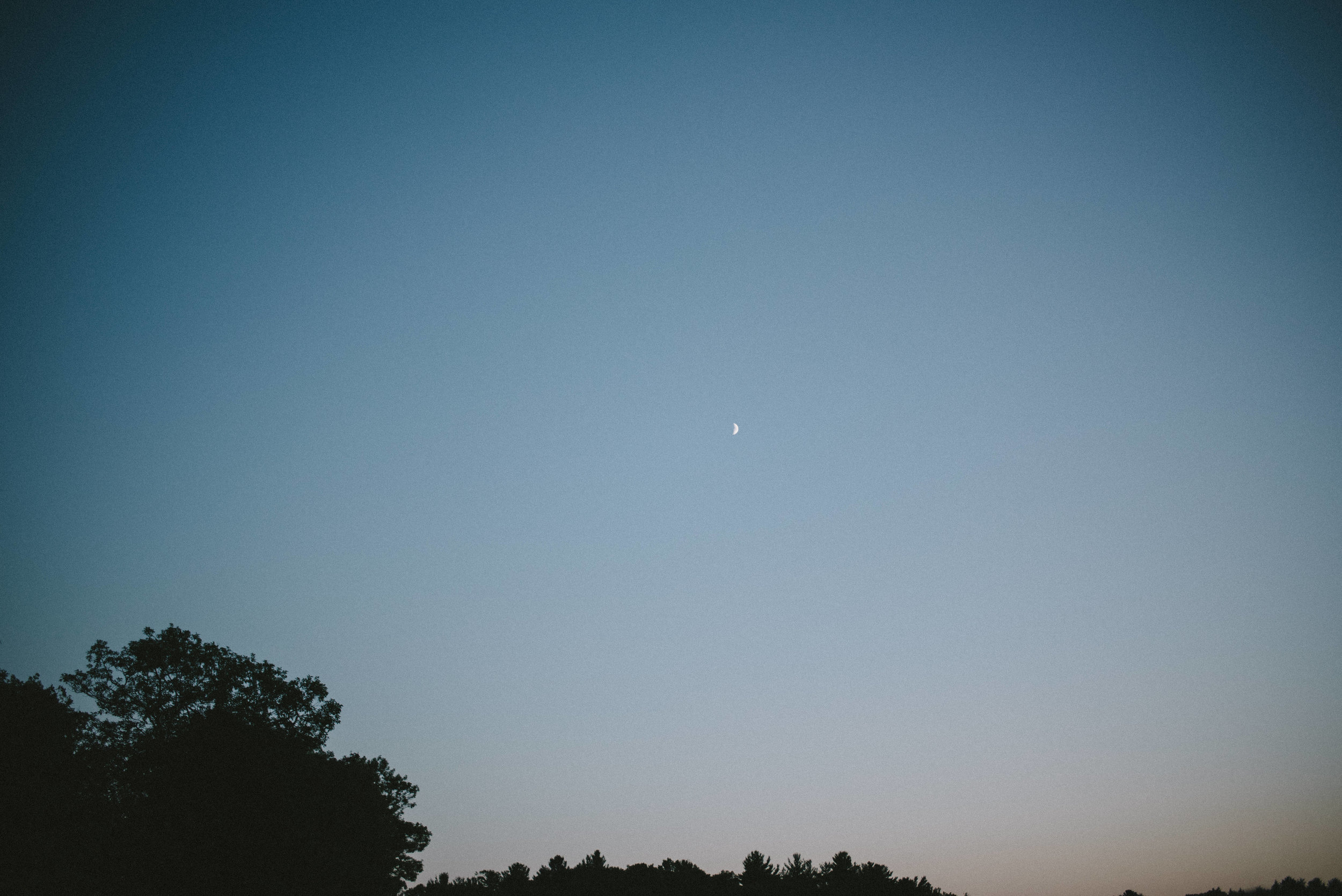 Camp Tapawingo Parry Sound Wedding Photographer