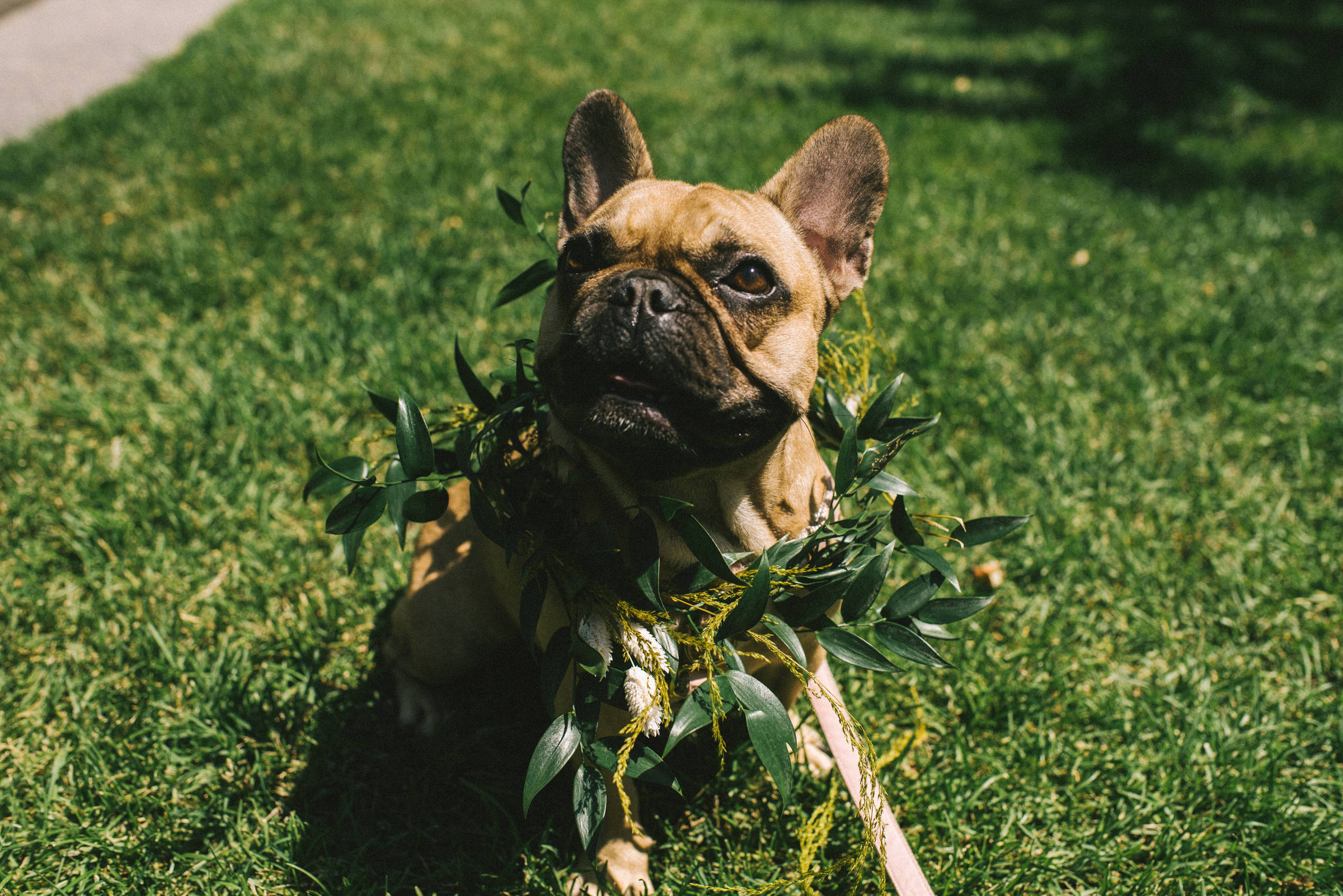 Drake Commissary Wedding Photographer