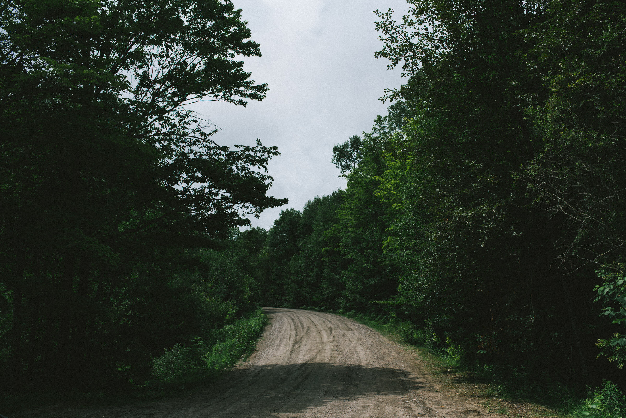 Bark Lake Wedding Photographer