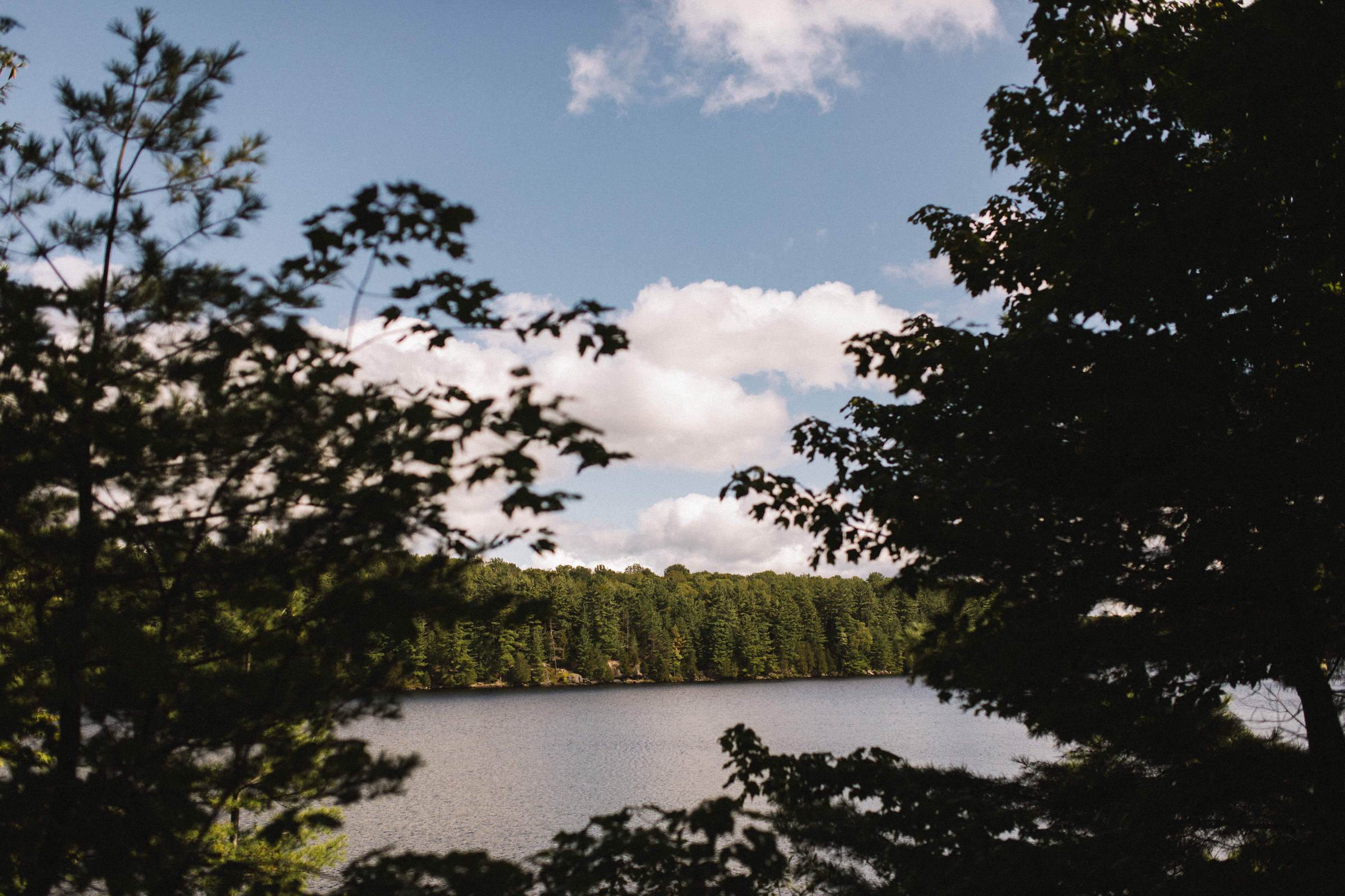 Camp Tamarack Wedding Photographer