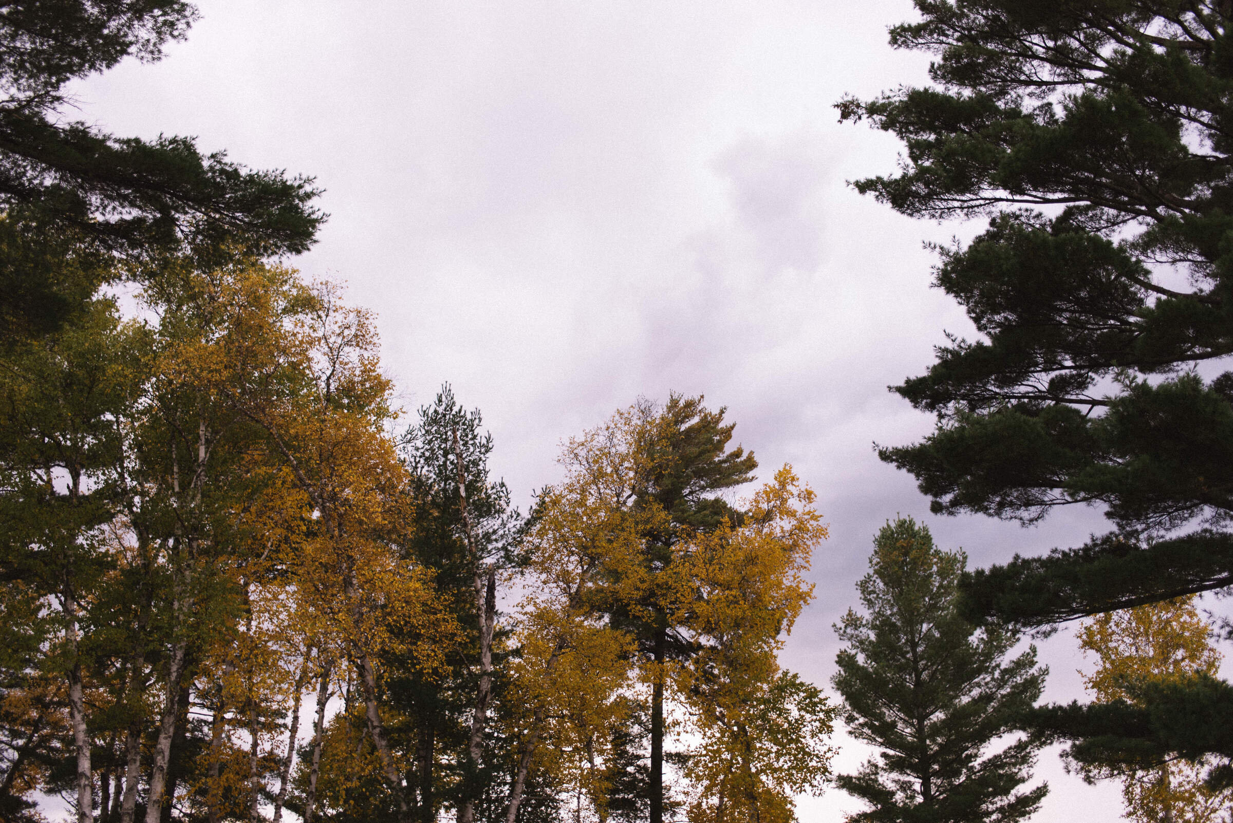 Northridge Inn Muskoka Wedding Photographer