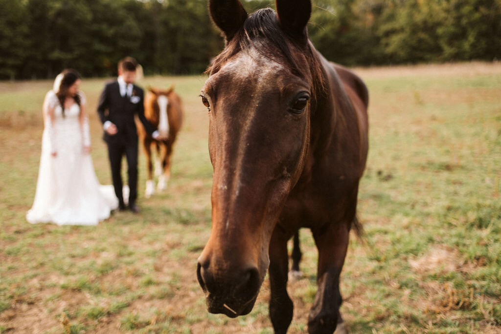 Lauren-Kent-Whispering-Springs-Elopement-161.jpg