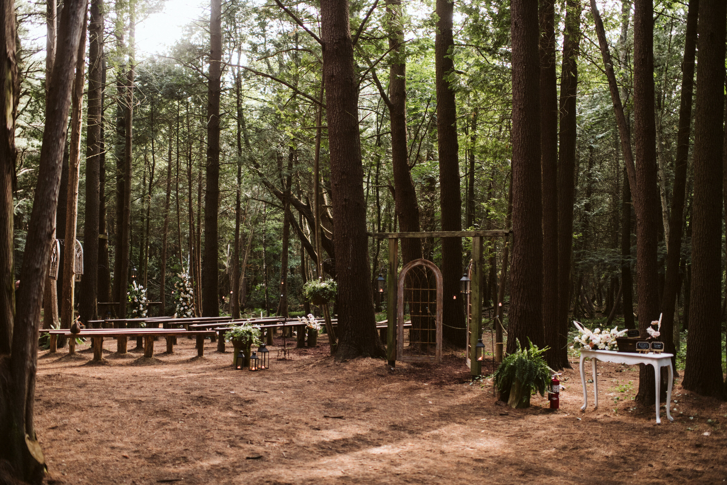 Whispering Springs Wilderness Retreat Intimate forest wedding