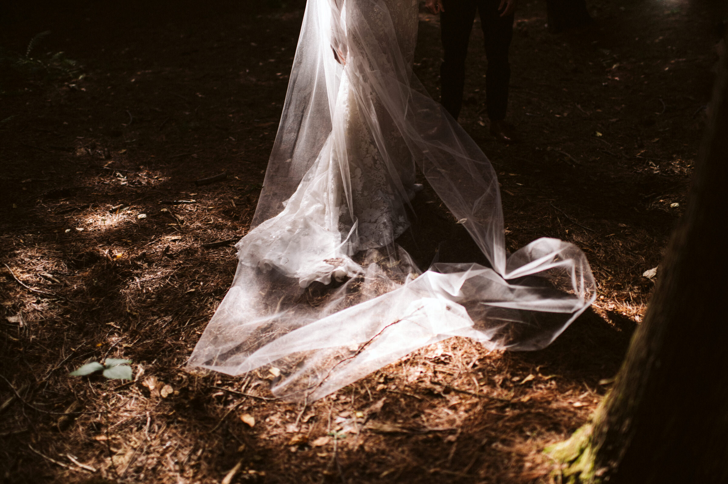 Whispering Springs Wilderness Retreat Intimate forest wedding