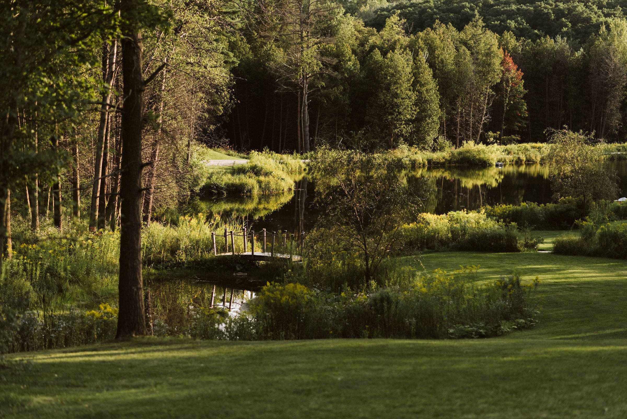 Whispering Springs Romantic Outdoor Wedding