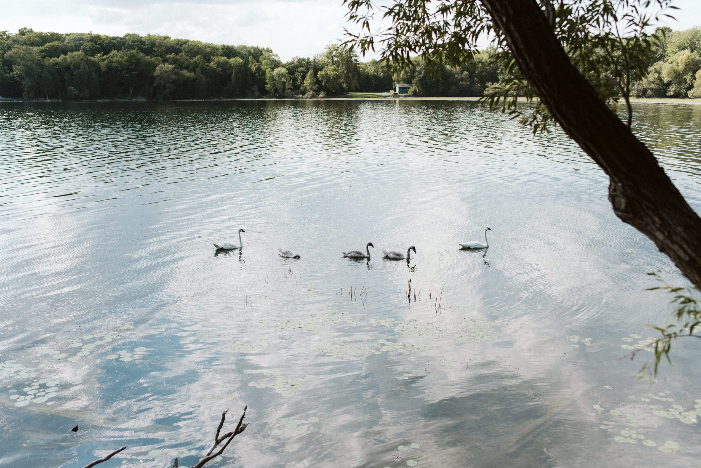 Orillia Camp Couch Wedding Photographer