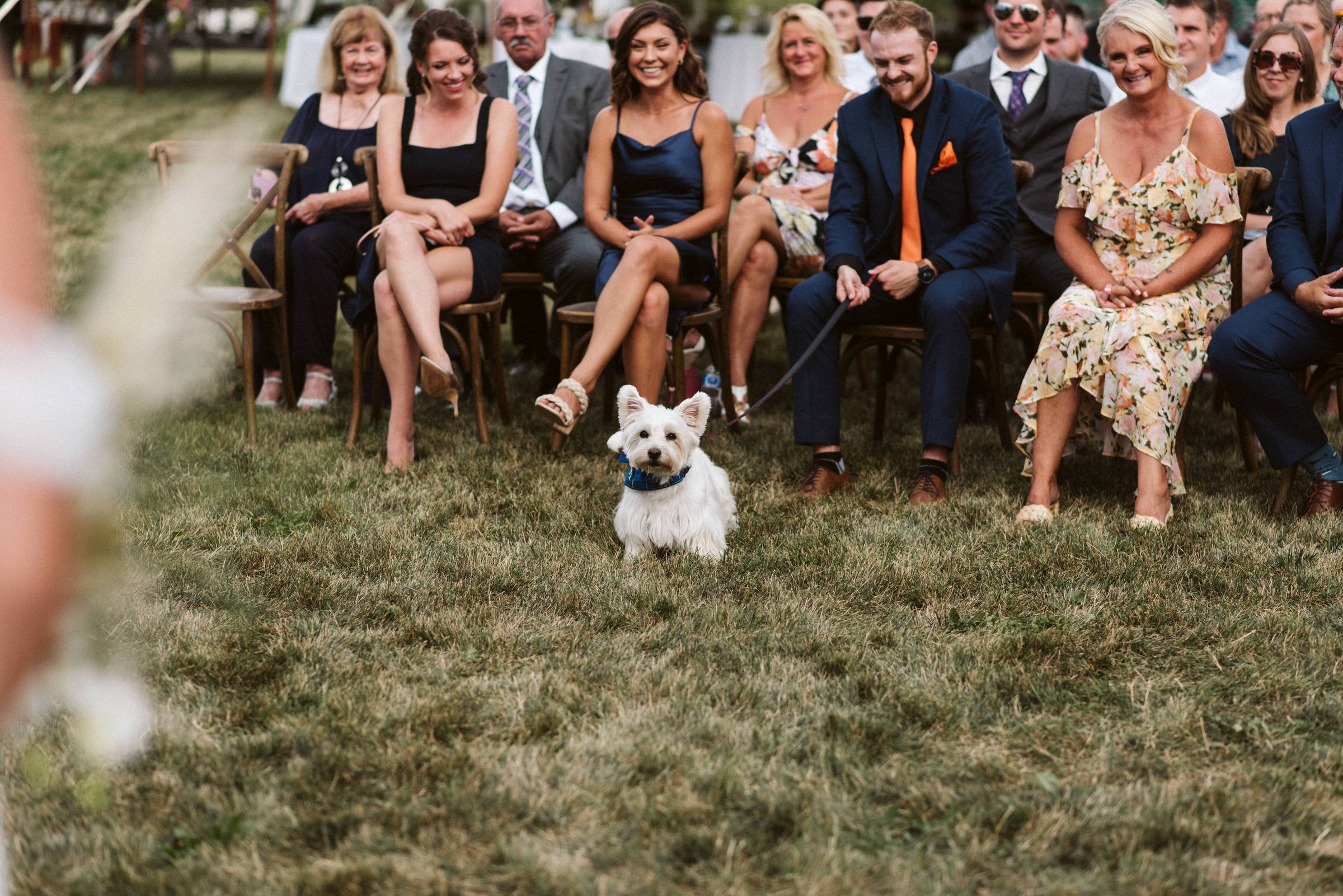 Durham Region Backyard Wedding Photographer