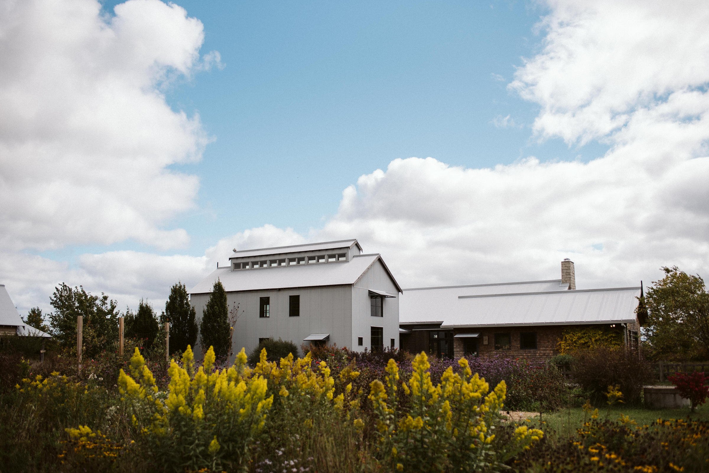 Compass Rose Forest Wedding in Prince Edward County