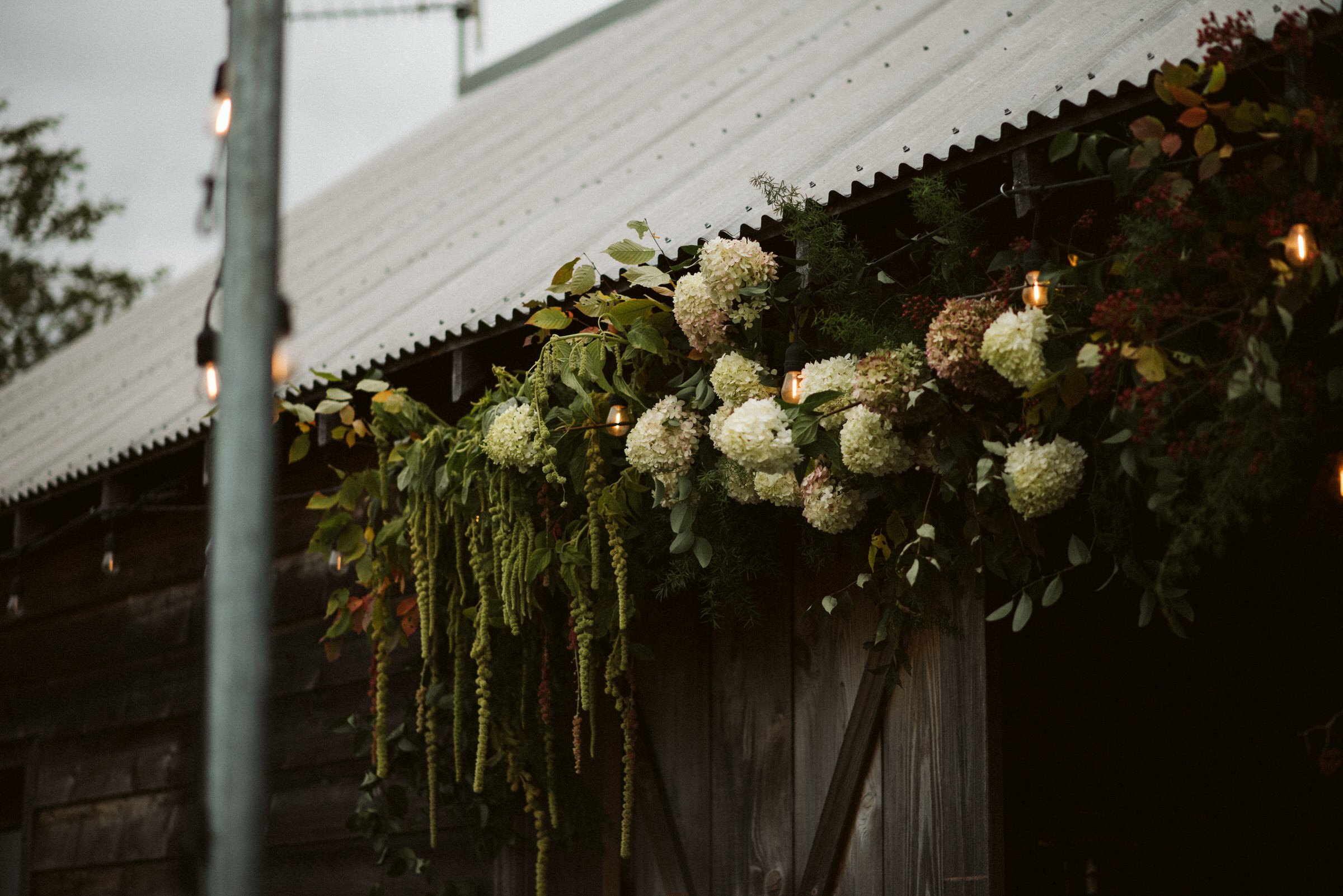 Compass Rose Forest Wedding in Prince Edward County