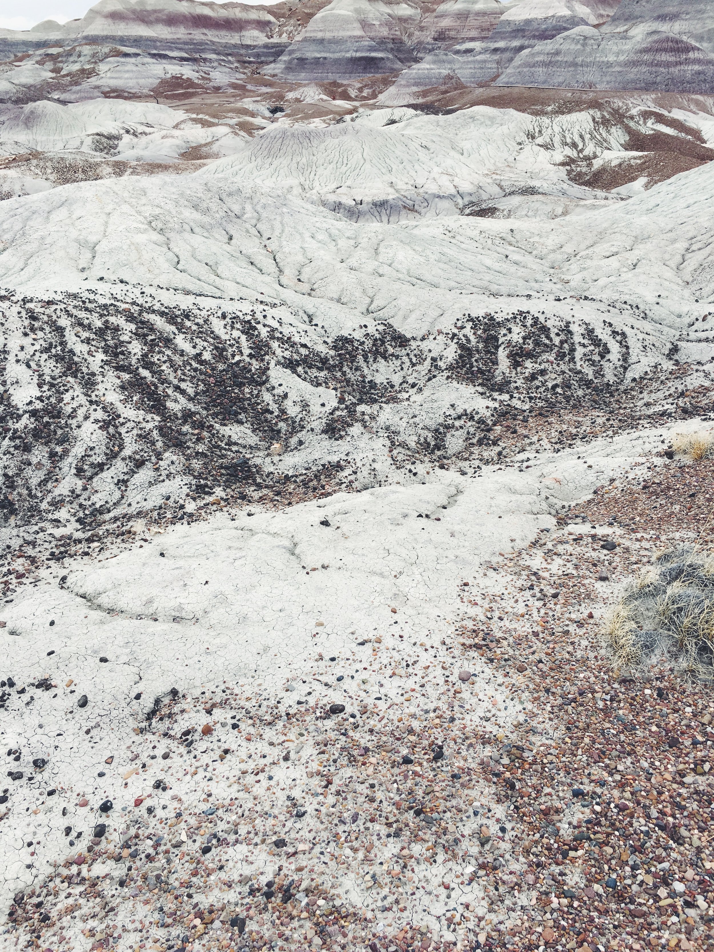 Blue Mesa Trail