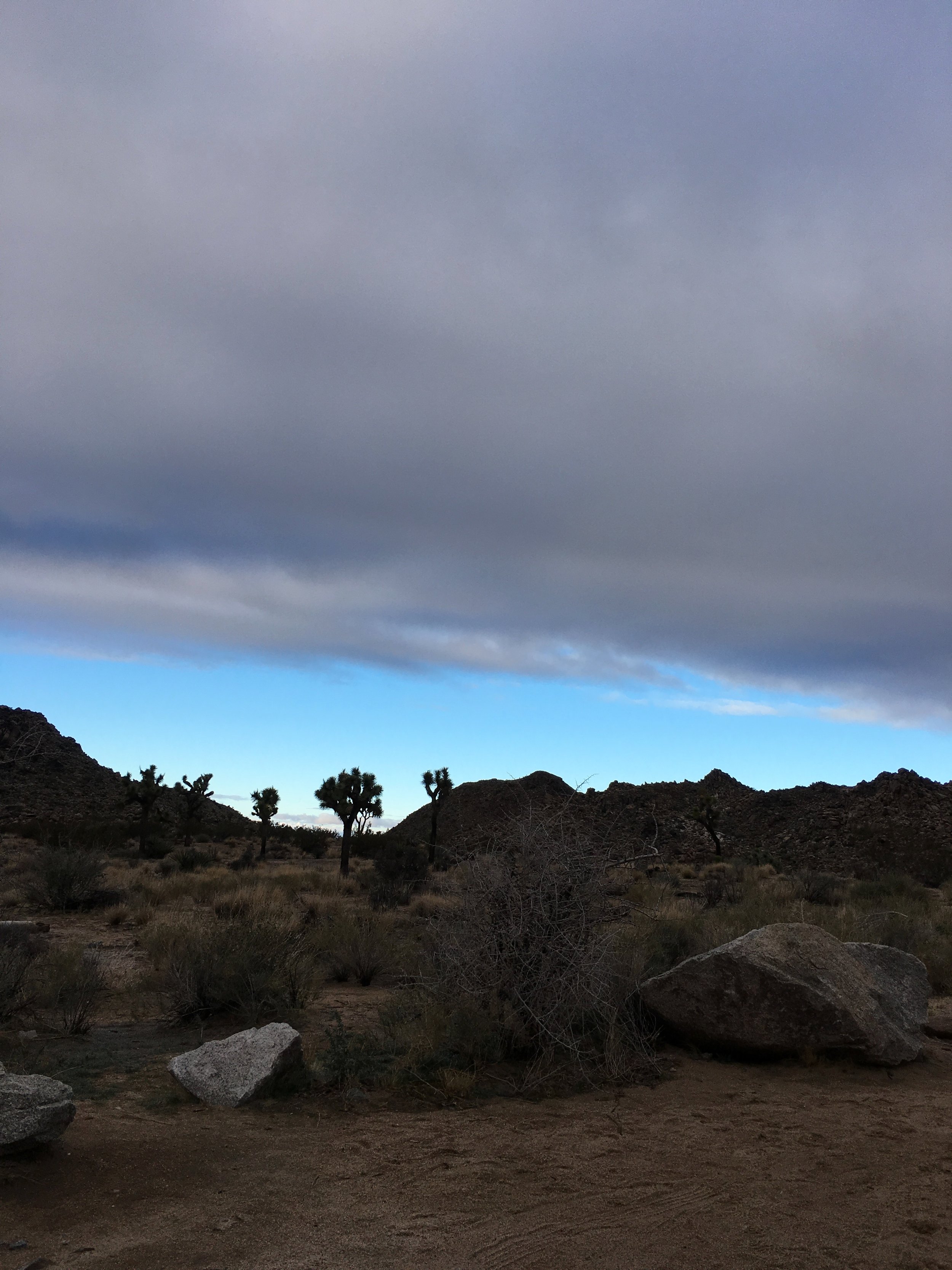 Joshua Tree National Park