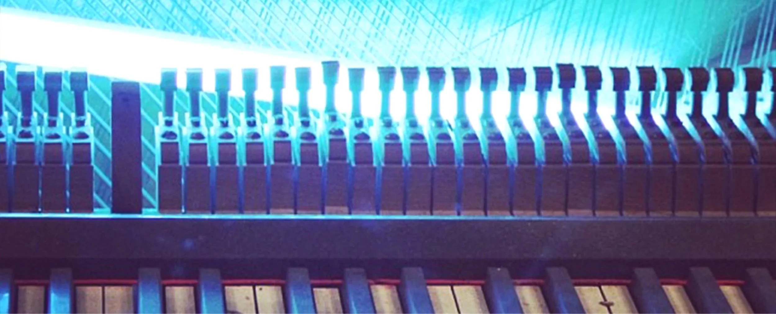 signal_sounds_header3.jpg