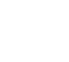 Rise Festival Logo.png