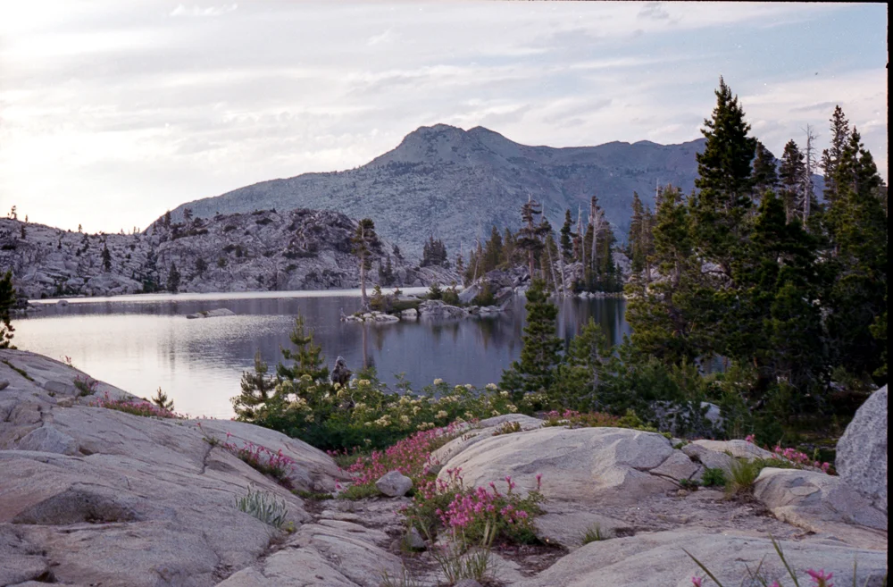 Desolation (1 of 1)-7.jpg