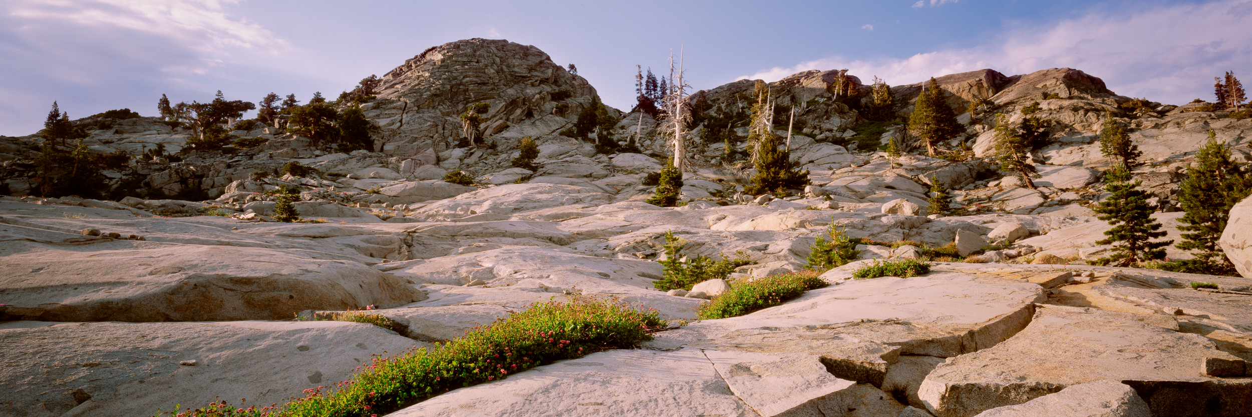 Linhof Technorama 617 SIII | Fuji Velvia 50
