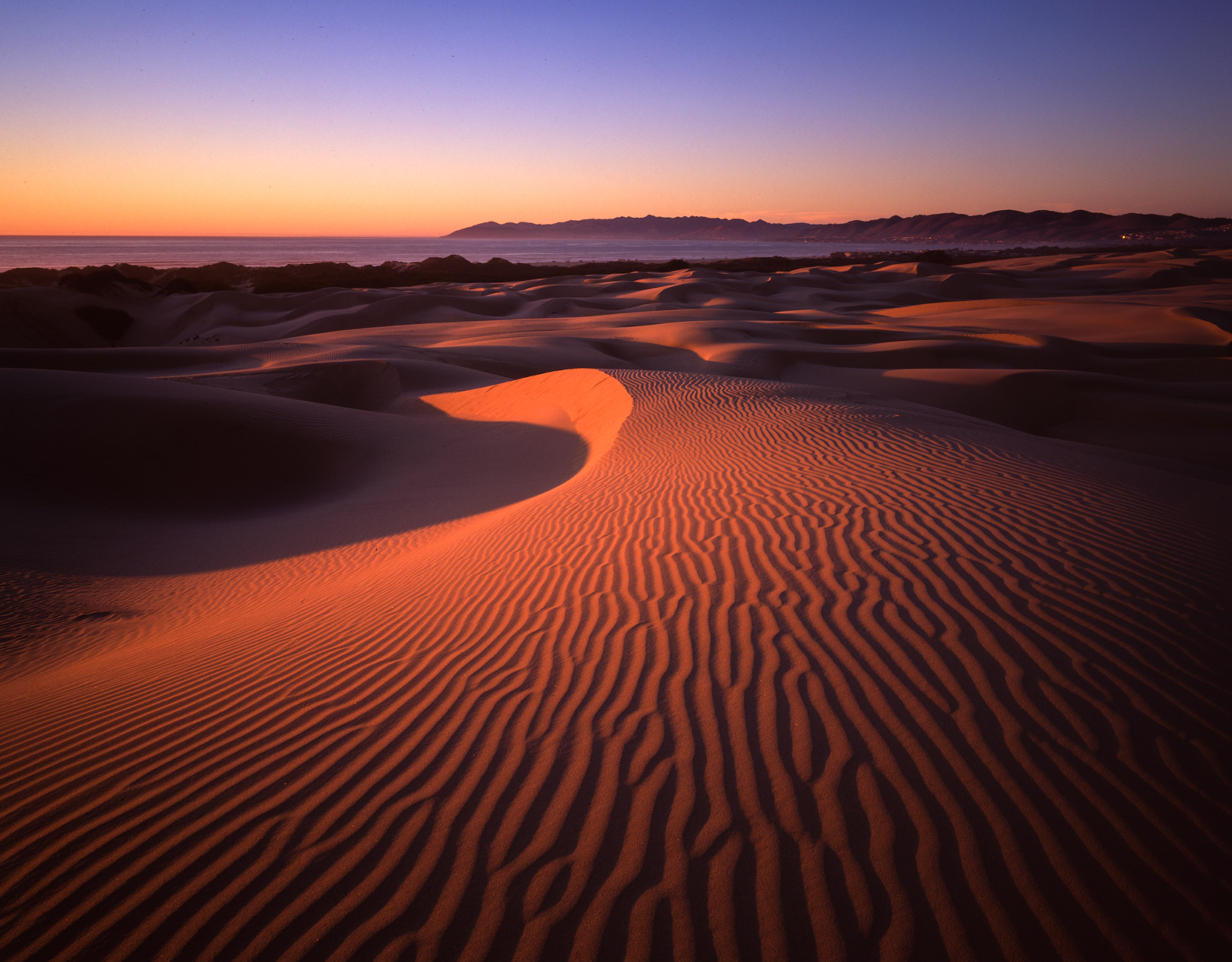 Windswept - Oceano Dunes, CA