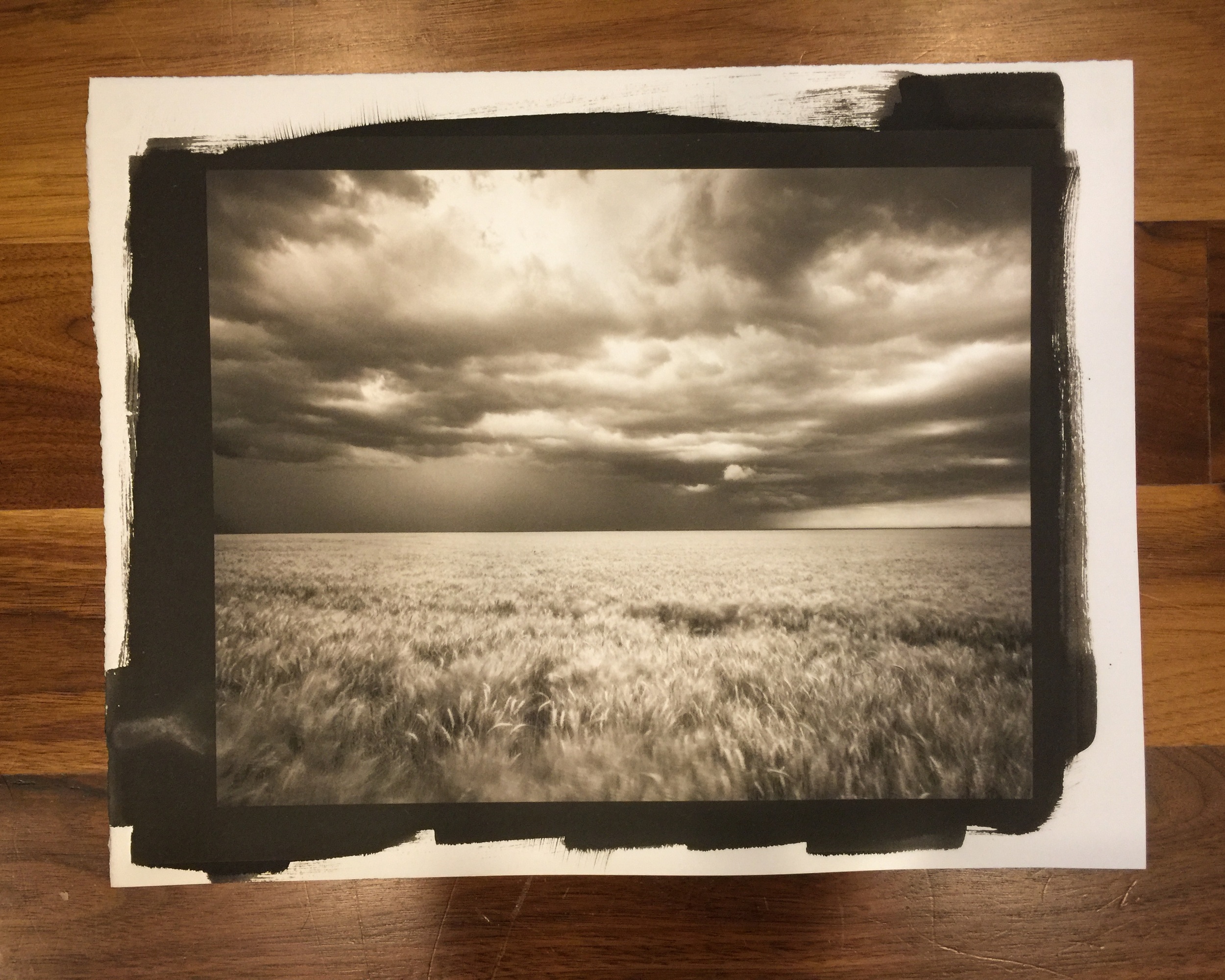Pure Palladiotype print entitled, "Insurgence" 