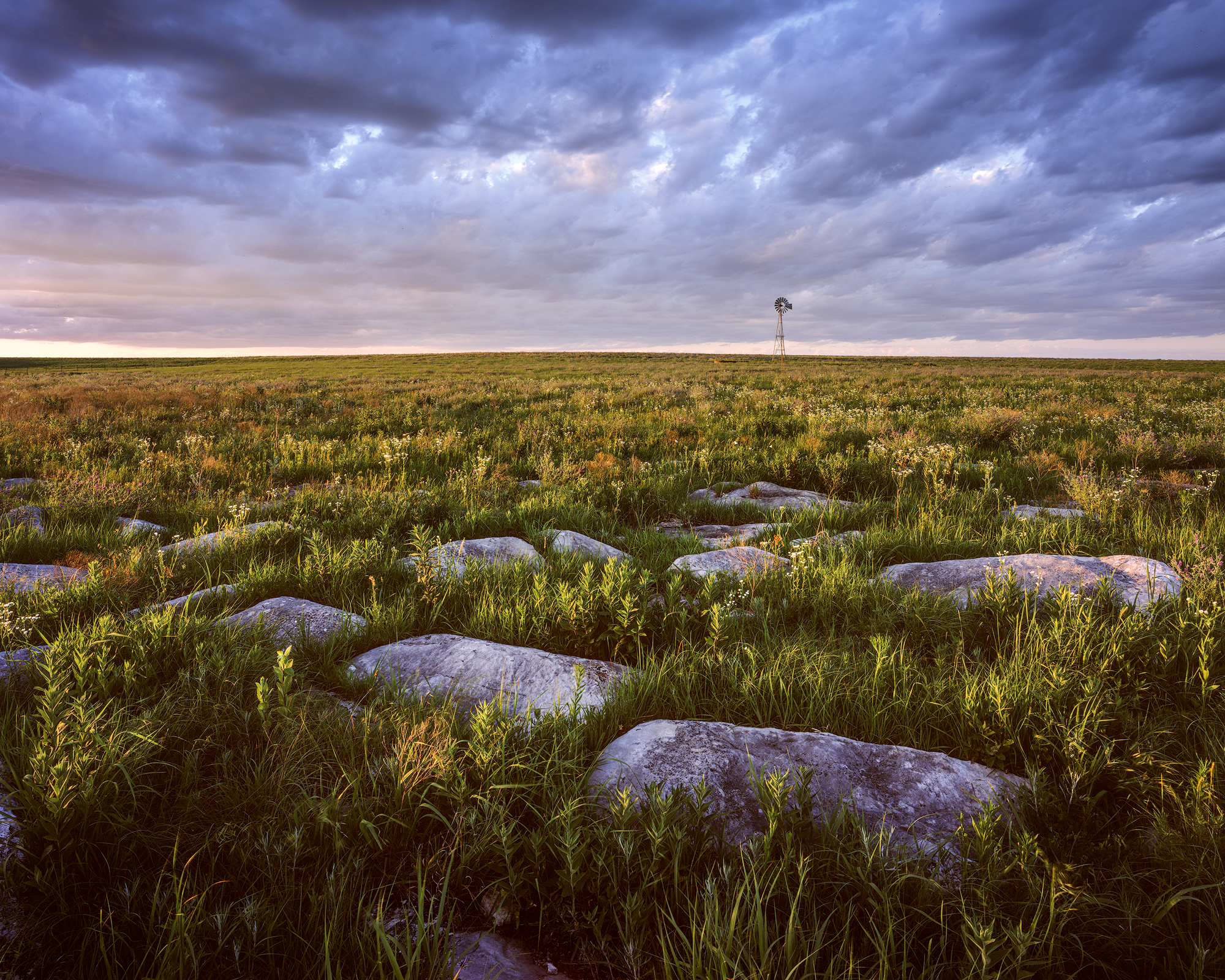 "Resplendent Meadow" - Flint Hills, Kansas