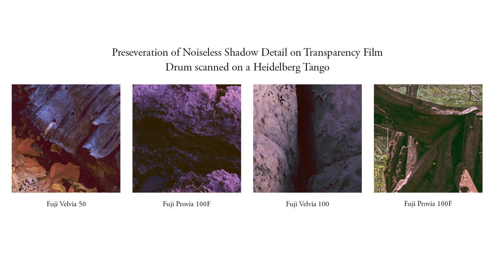 Shadow Detail.jpg