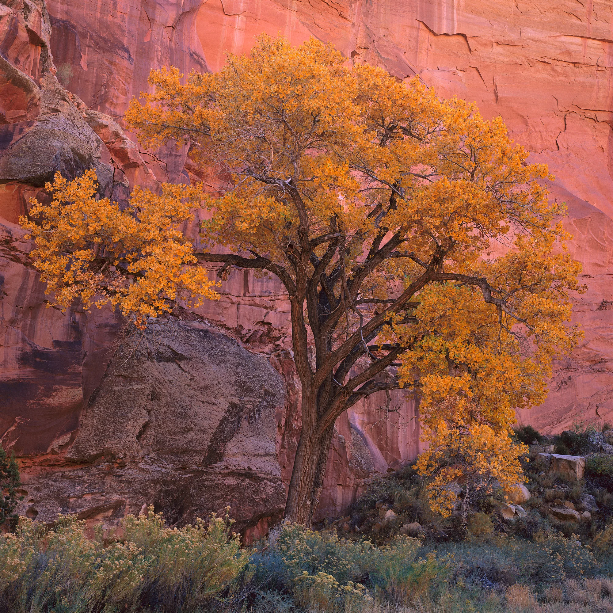 Escalante_6x6_Velvia1_sRGB.jpg