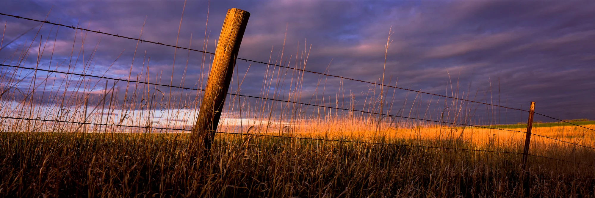 Final Days of Harvest.jpg
