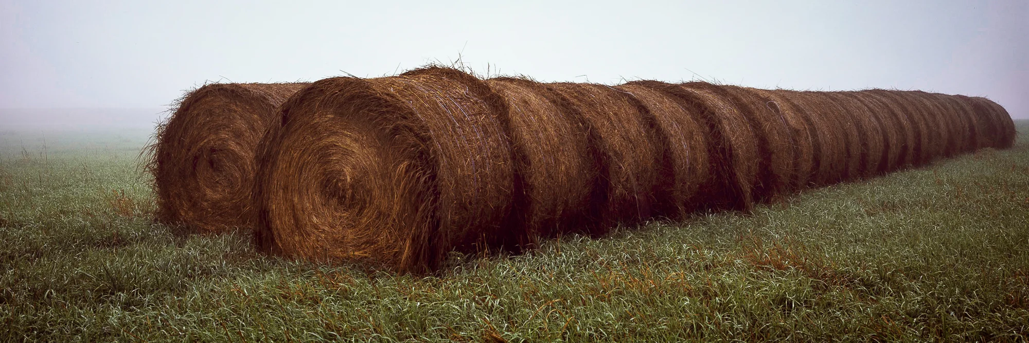 michael-hay.jpg