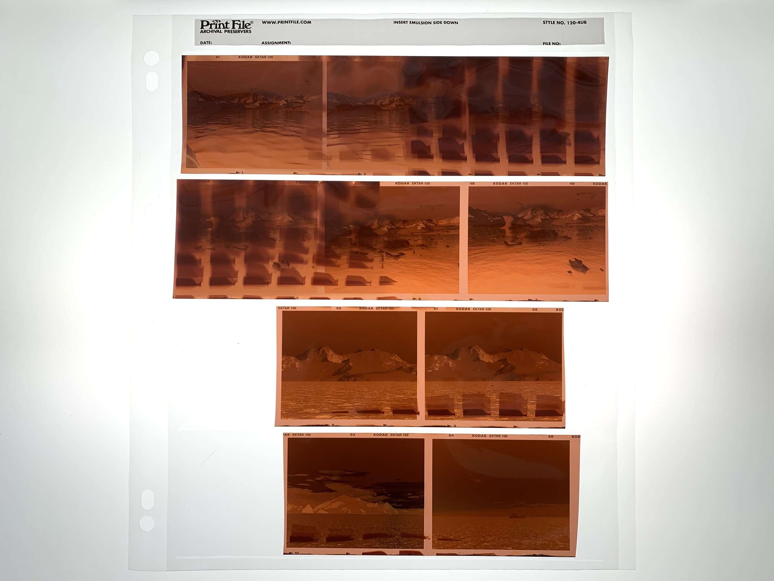 Flying With Film My Experiences & How to Navigate the TSA Michael