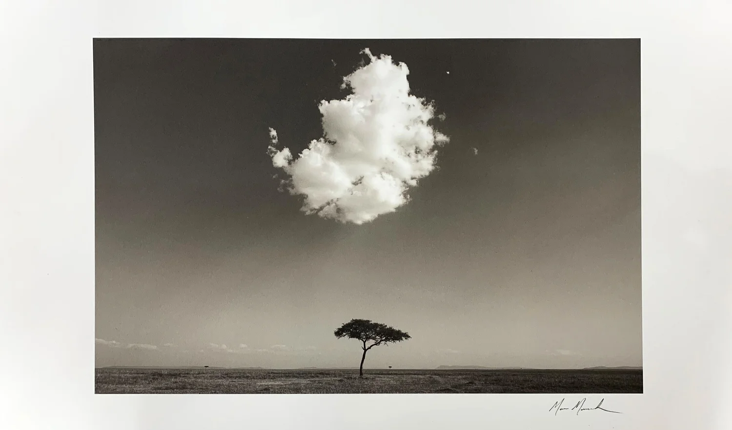 Platinum Palladium Printing Service Michael Strickland Images