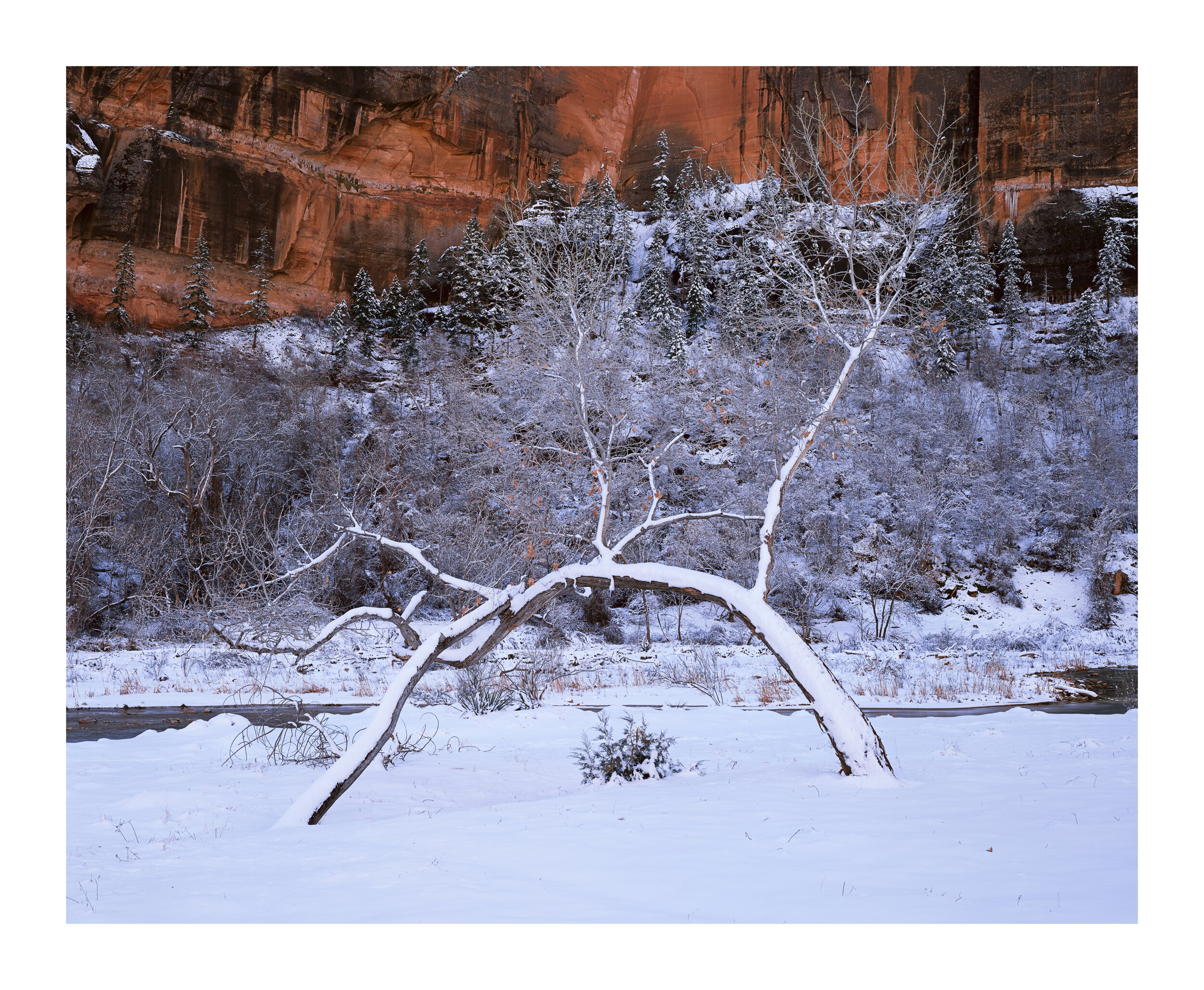 Zion_810_2_V50.1_RGB.jpg