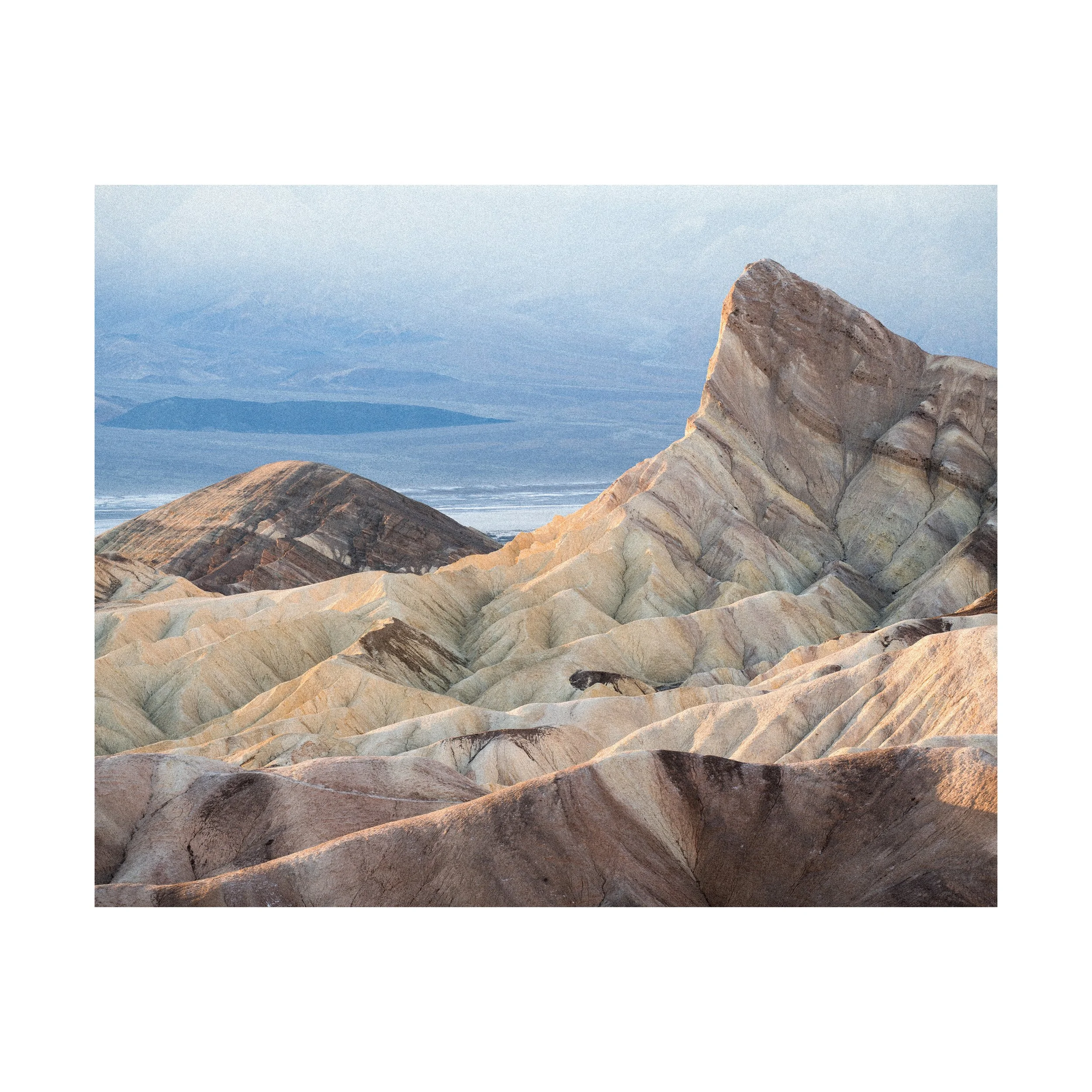 Zabriski Gum.jpg