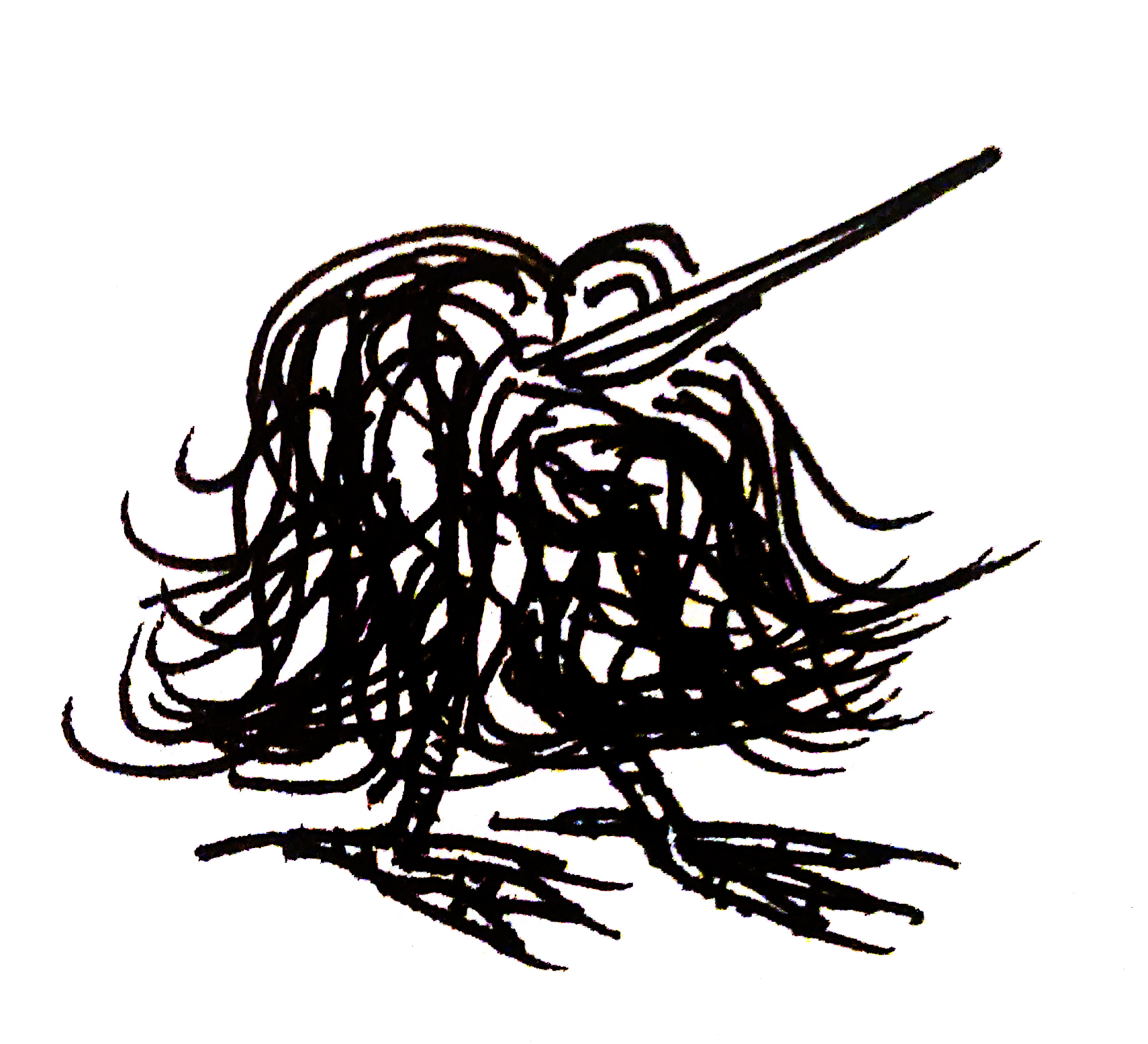 A Bether. Something like a bird.