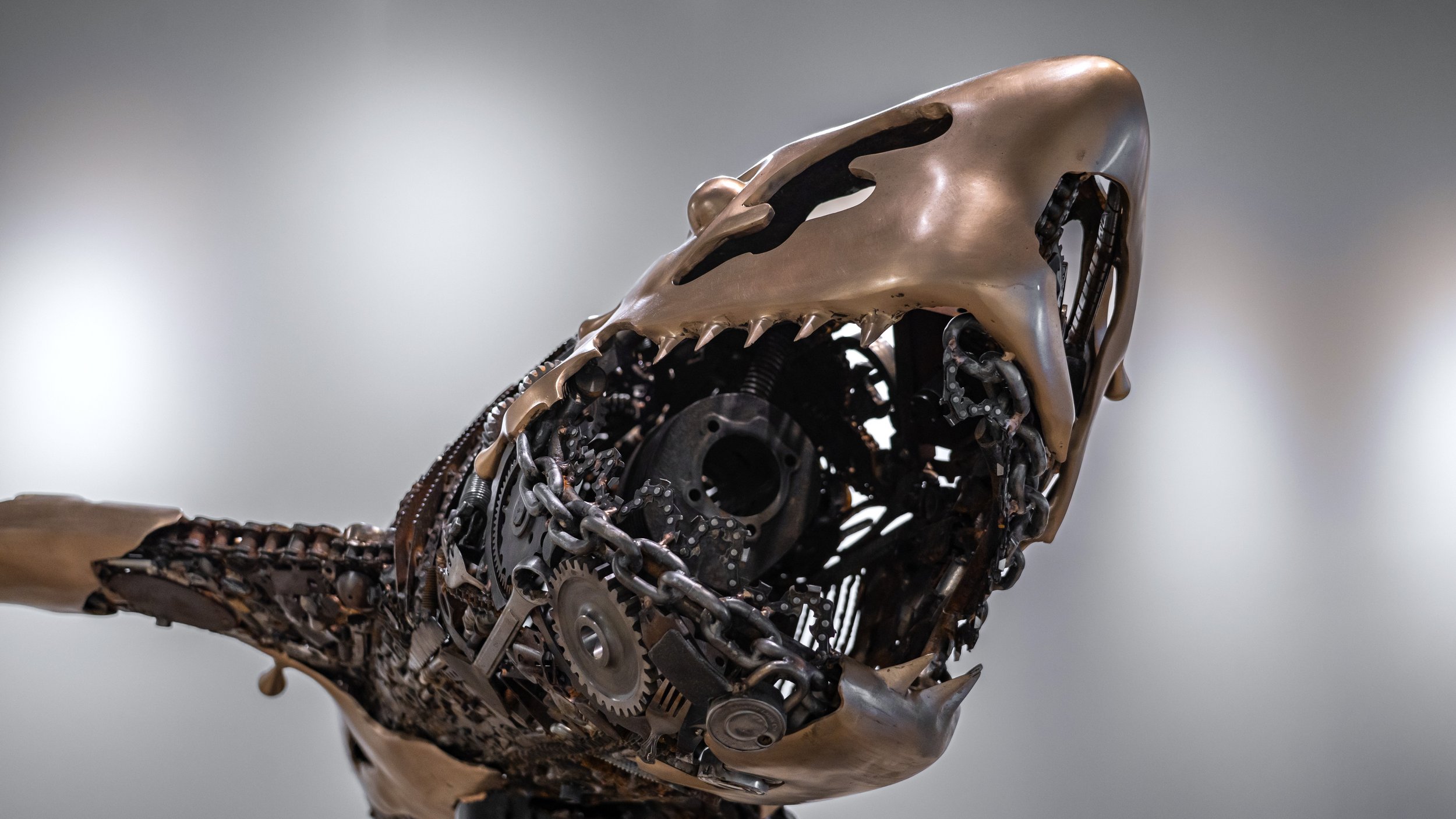 Great side front face.jpg