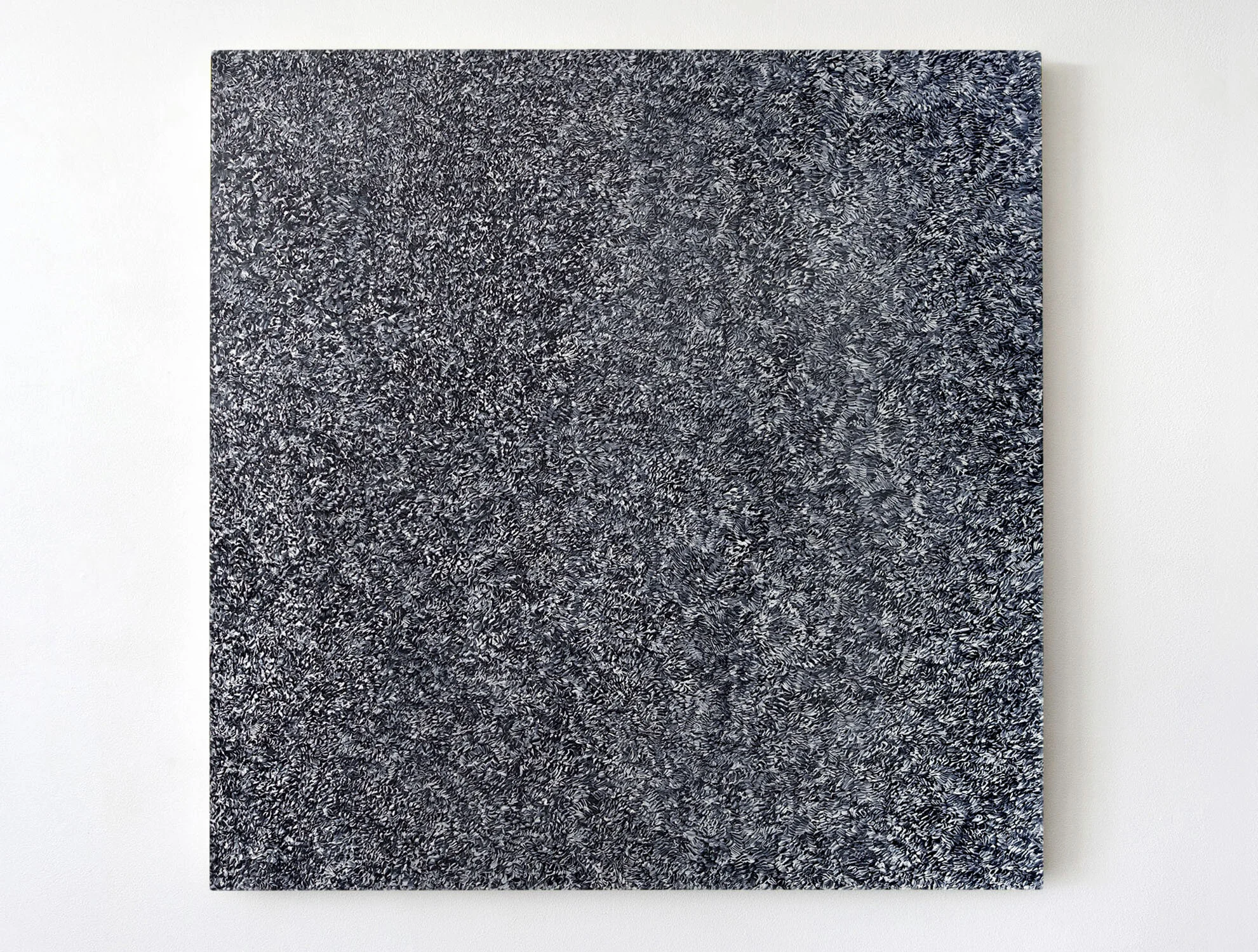 Chaos Theory II, 2019 | acrylic on canvas | 48 x 48 "