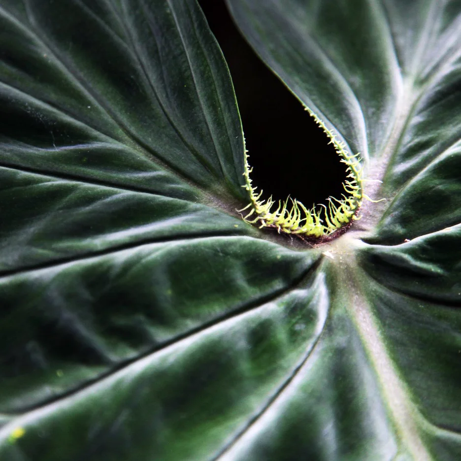 ET LE CIEL ETAIT NOIR