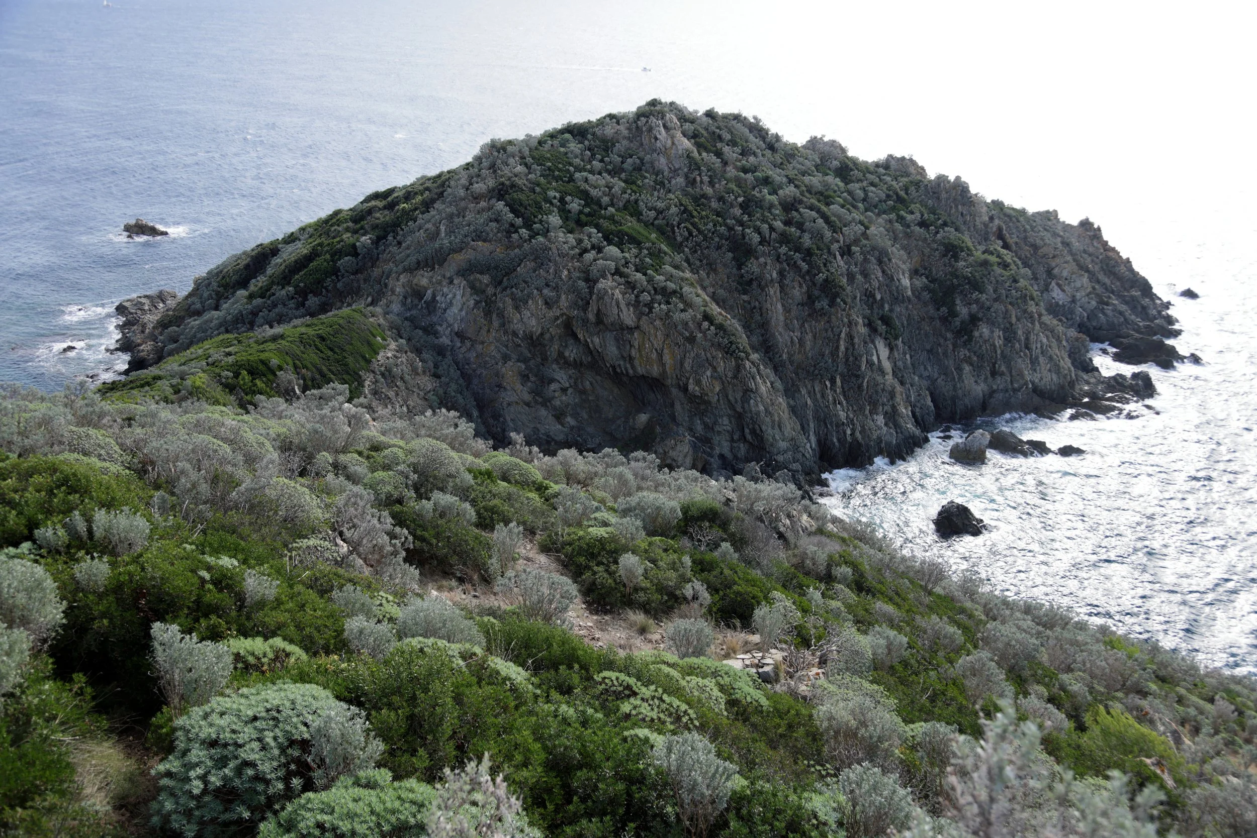 Site Sud011.JPG