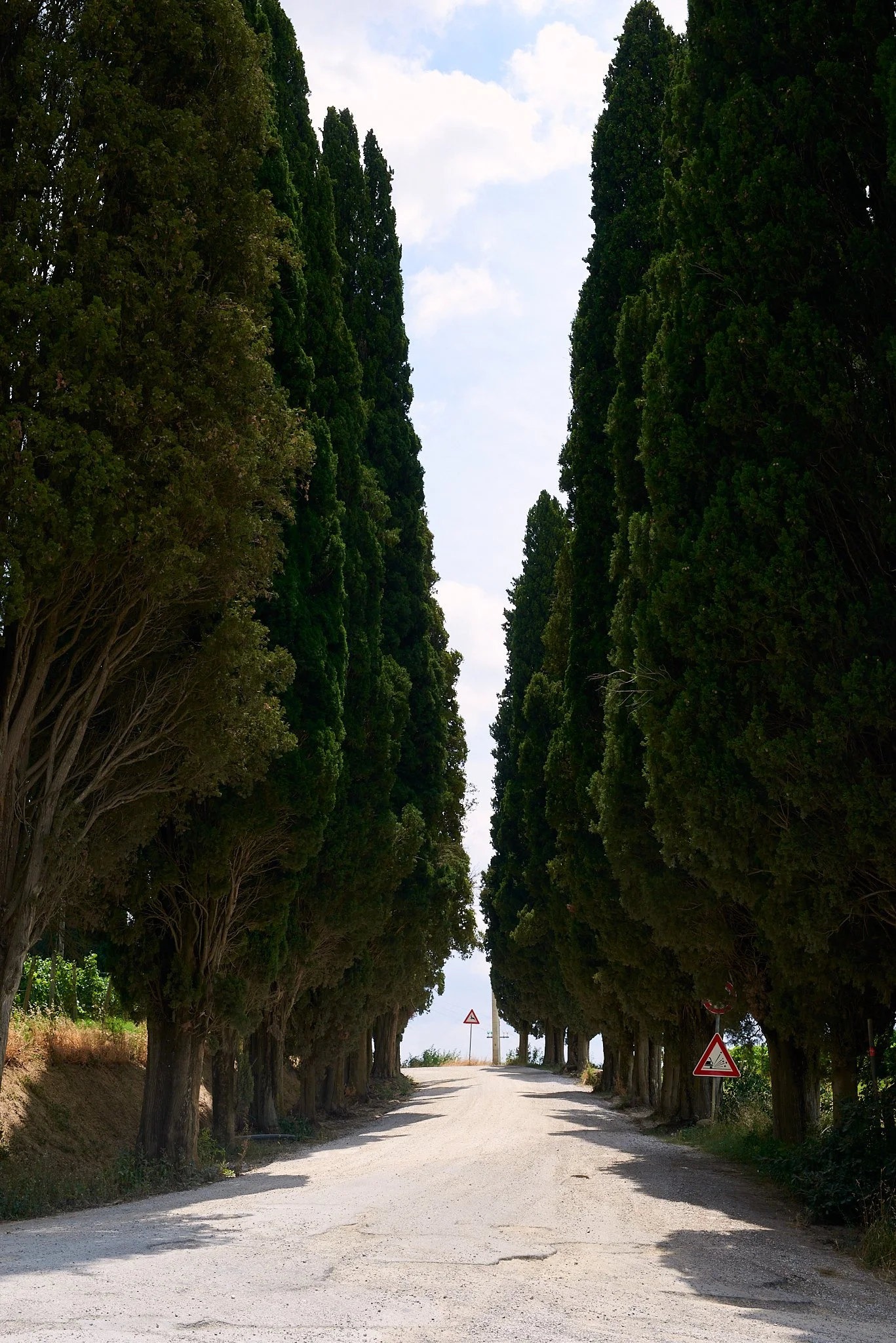 cortonaWEB2.jpg