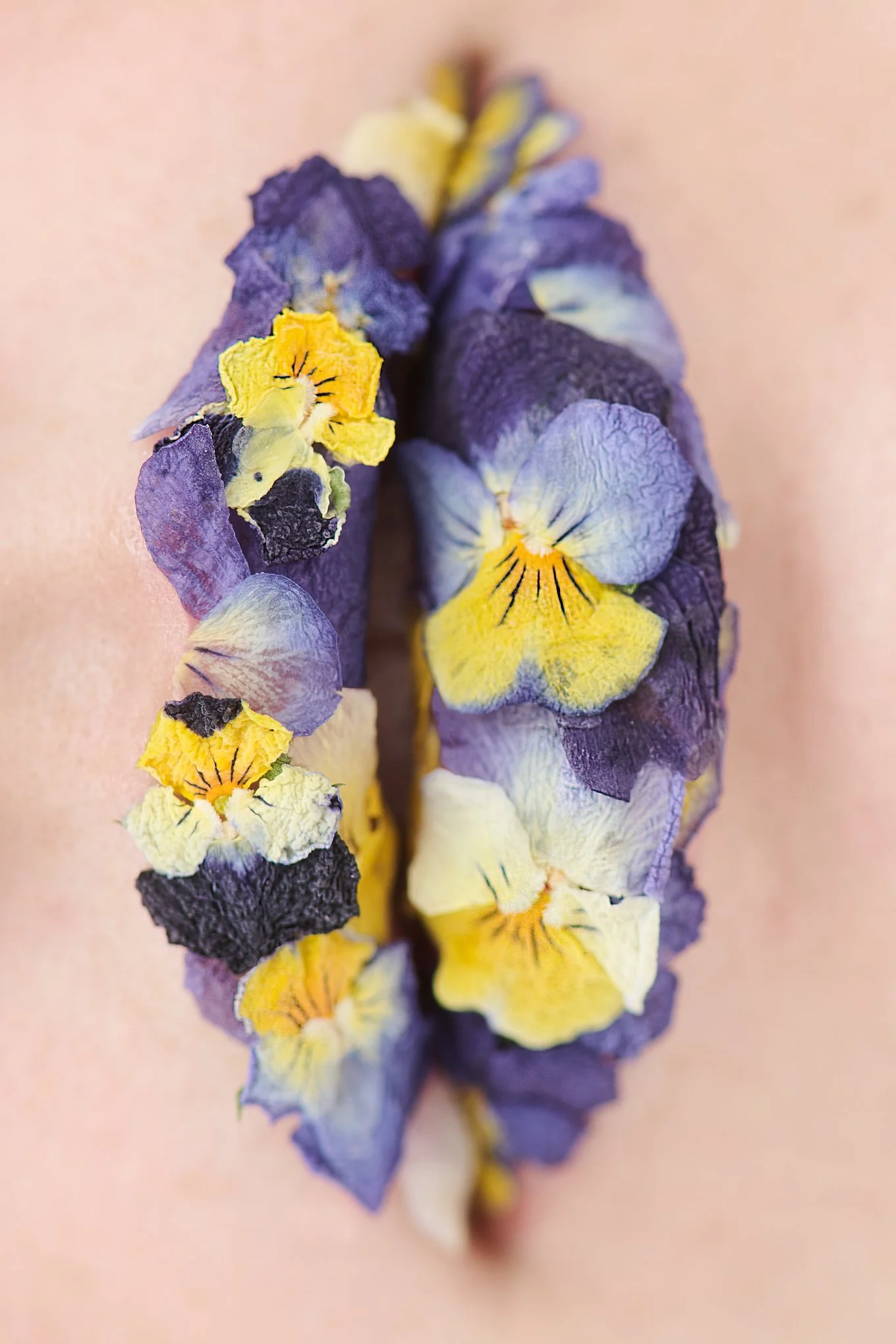 SpringBeautyWEB-2.jpg
