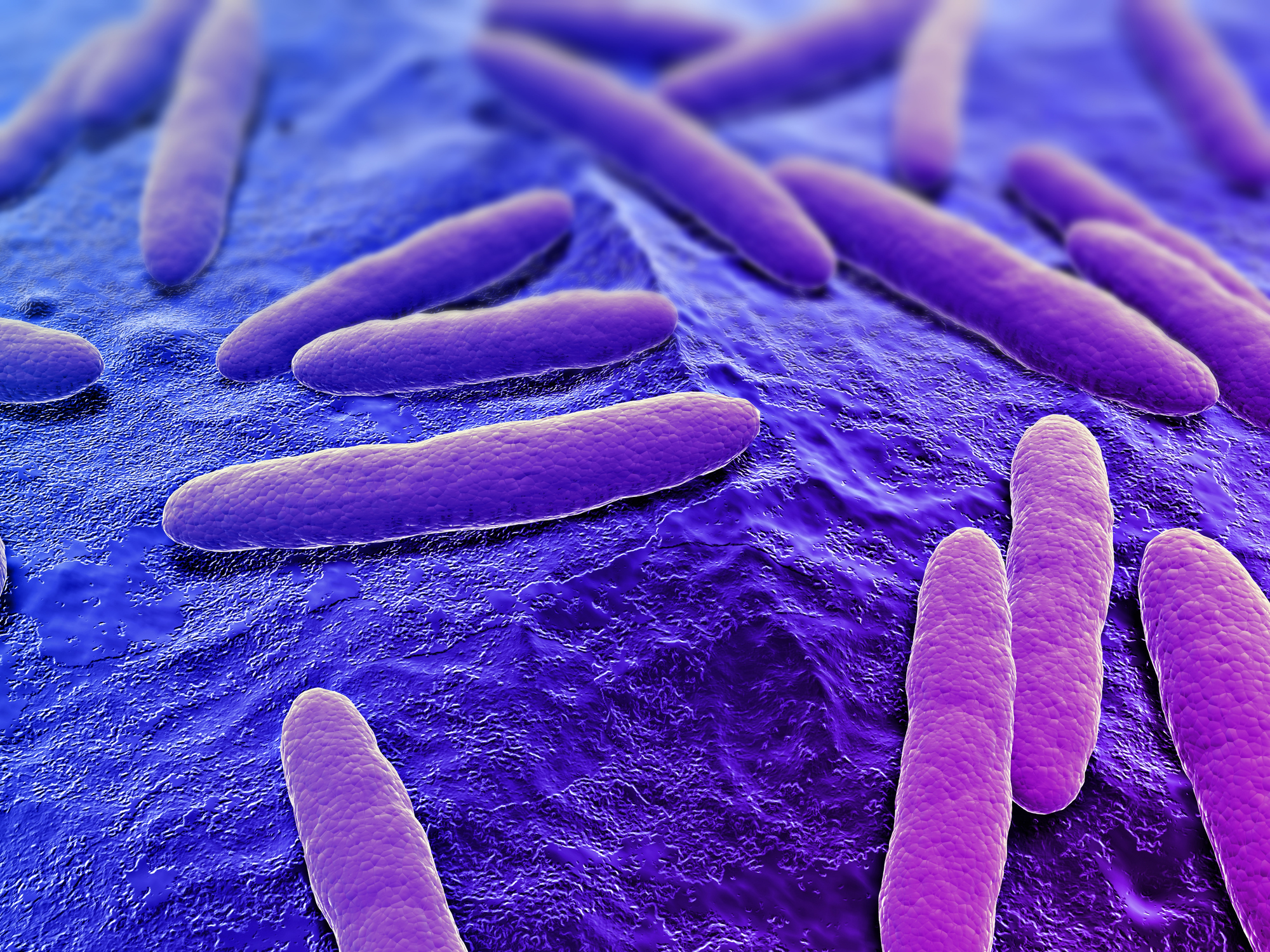 Irritable bowel Syndrome. Is bacterial overgrowth the missing link for treatment?