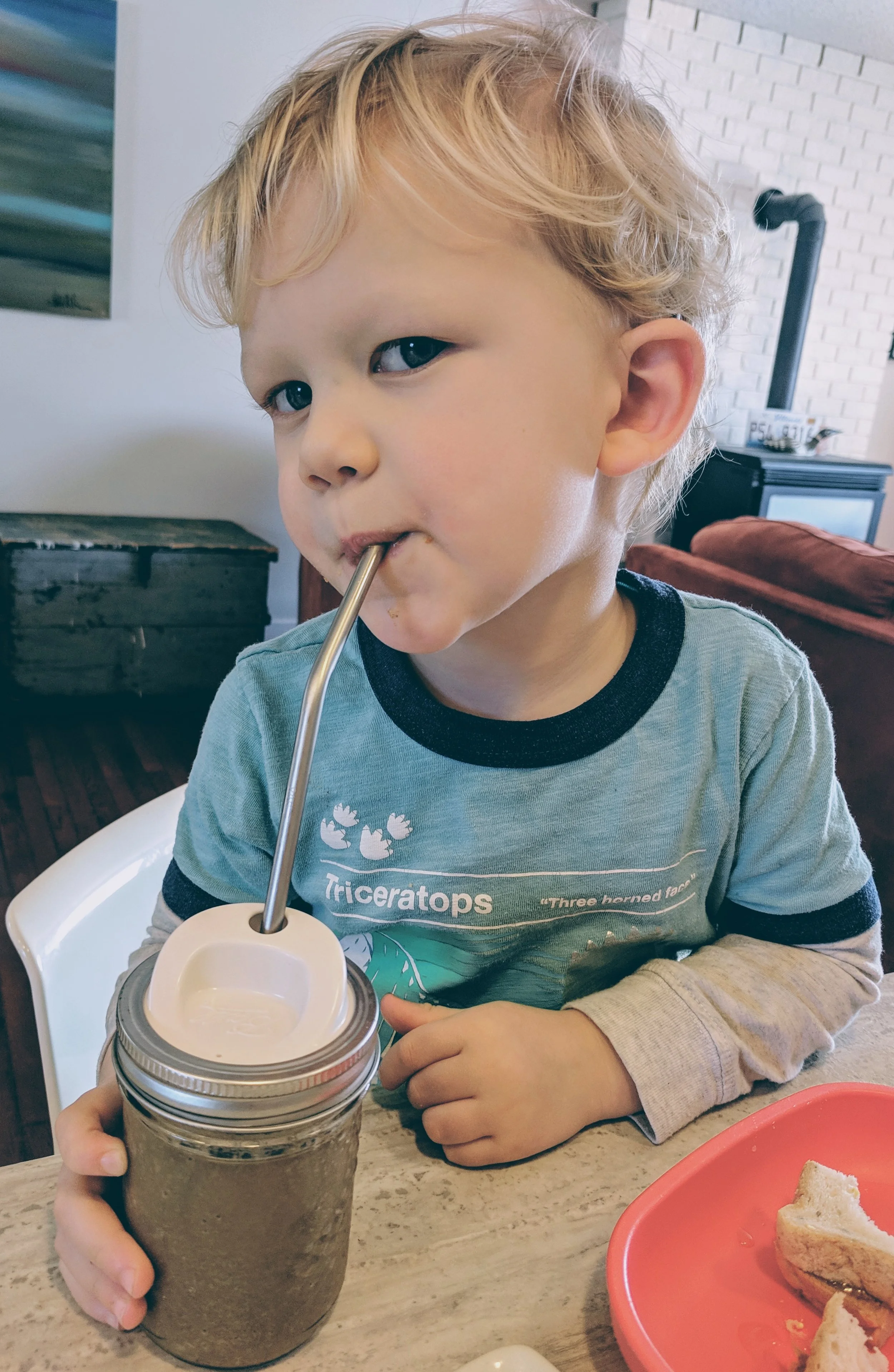 Chocolate smoothie.jpg