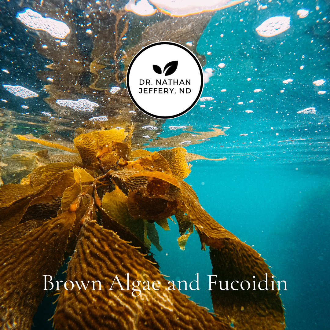 Brown Algae and Fucoidin