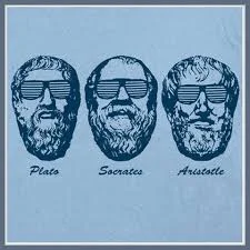 We are what we repeatedly do. Excellence, then, is not an act, but a habit. -Aristotle