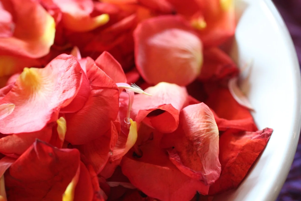 YS2014_bowl blooms.jpg