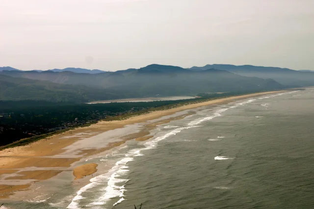 manzanita from above.jpeg