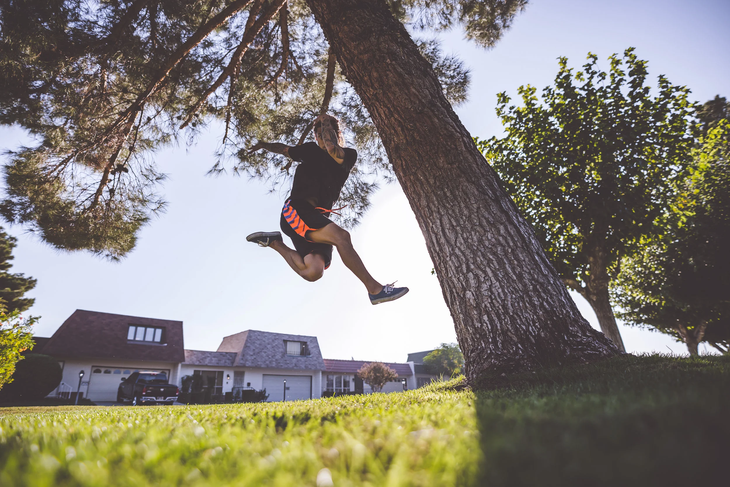 Just Break TreeStyle-1.jpg